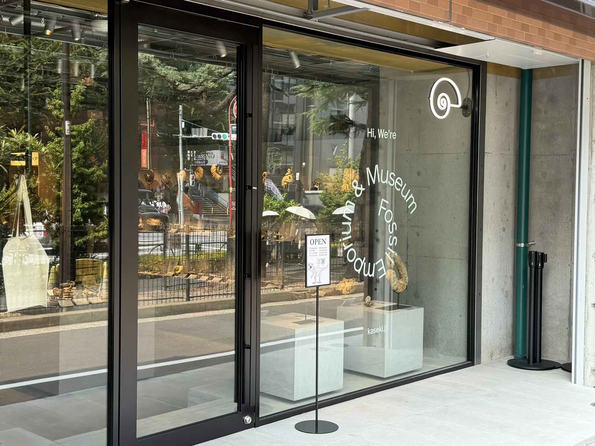 Can You Buy Fossils at the 'Fossil Museum You Can Buy From TOKYO