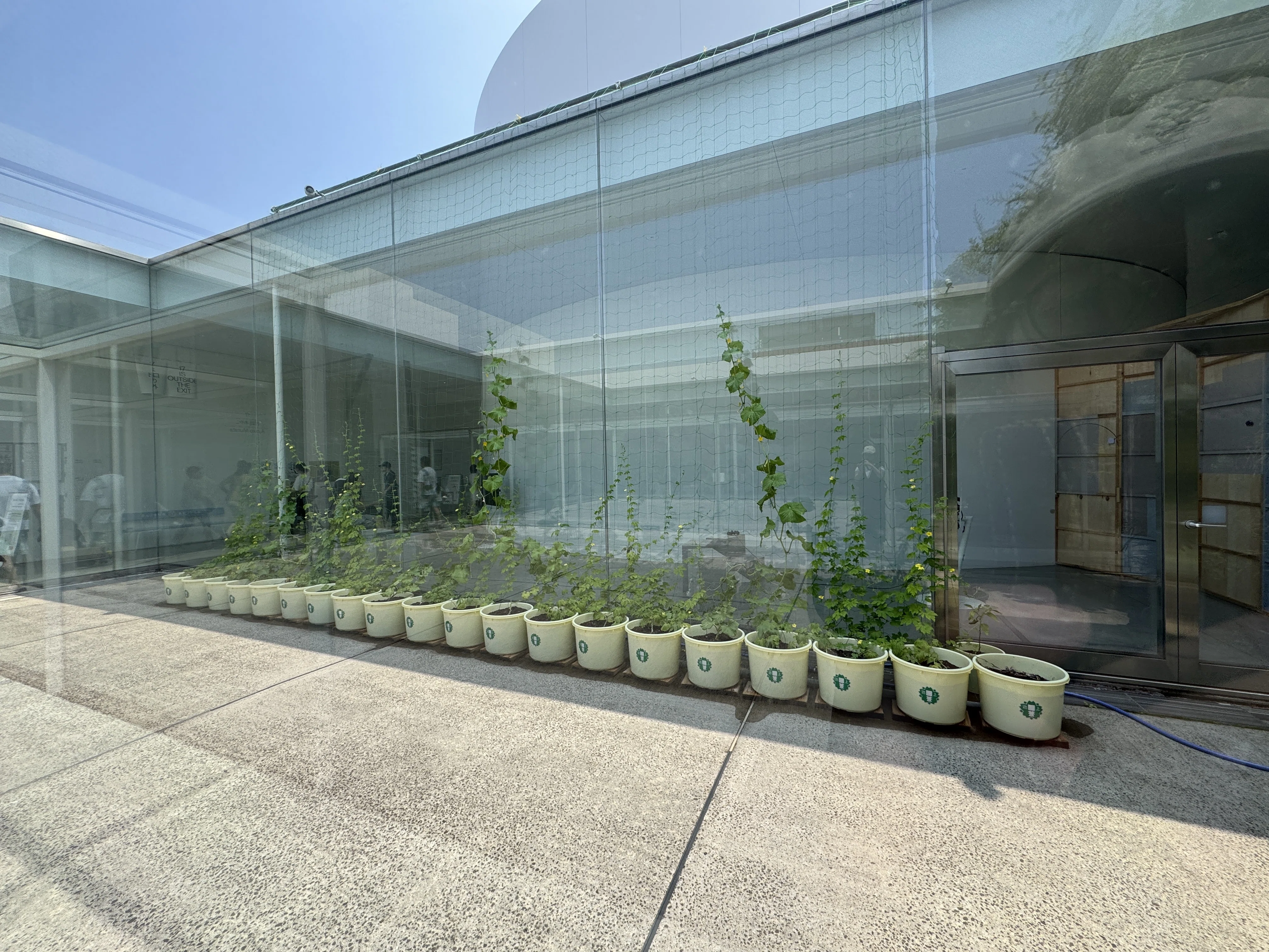 石に咲く花 田村一二 大雅堂 昭和18年5版 みんなの手で育っている展示｜村田あやこ