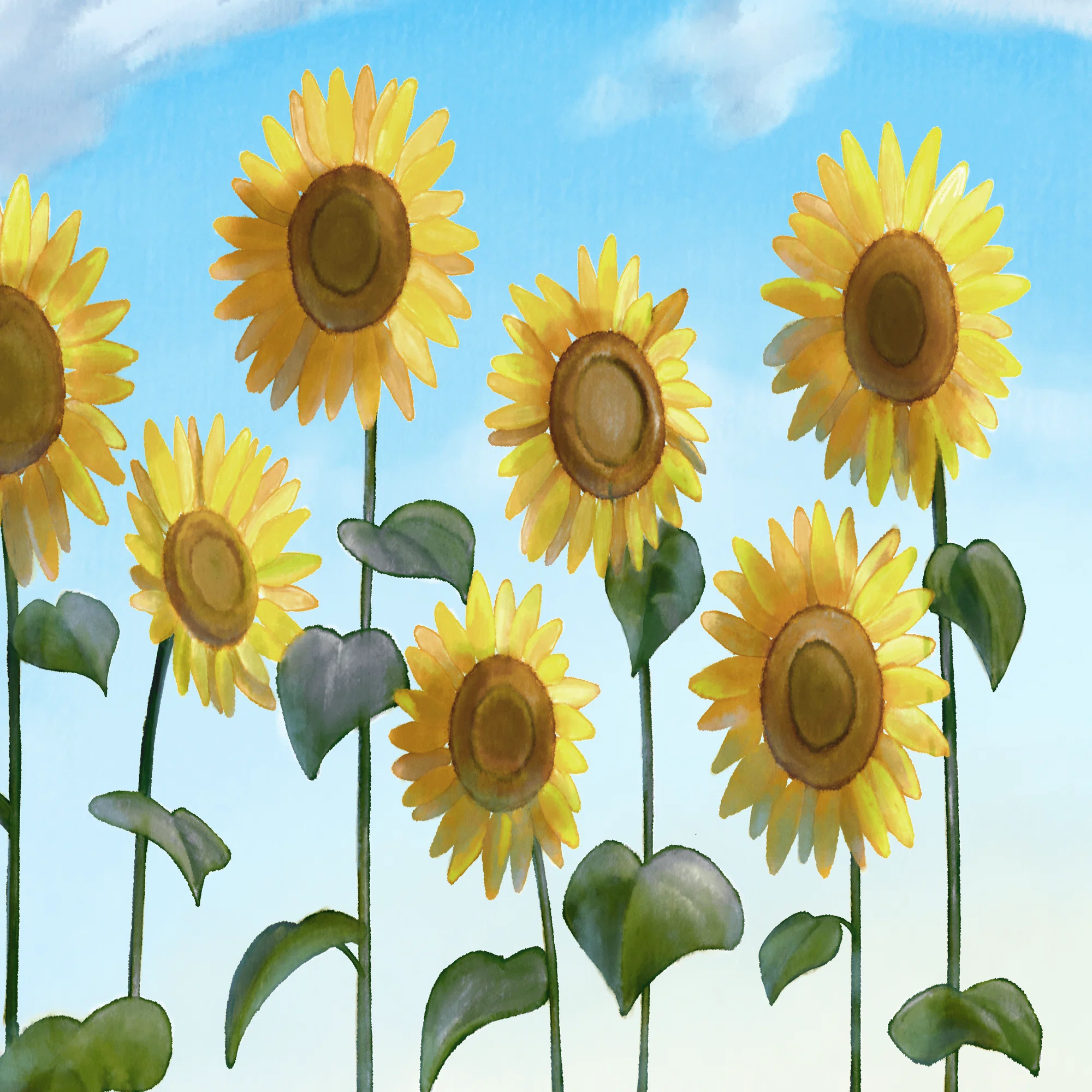 今日のイラスト【ひまわり畑と青い空】｜【社会実験中】人と自然が再