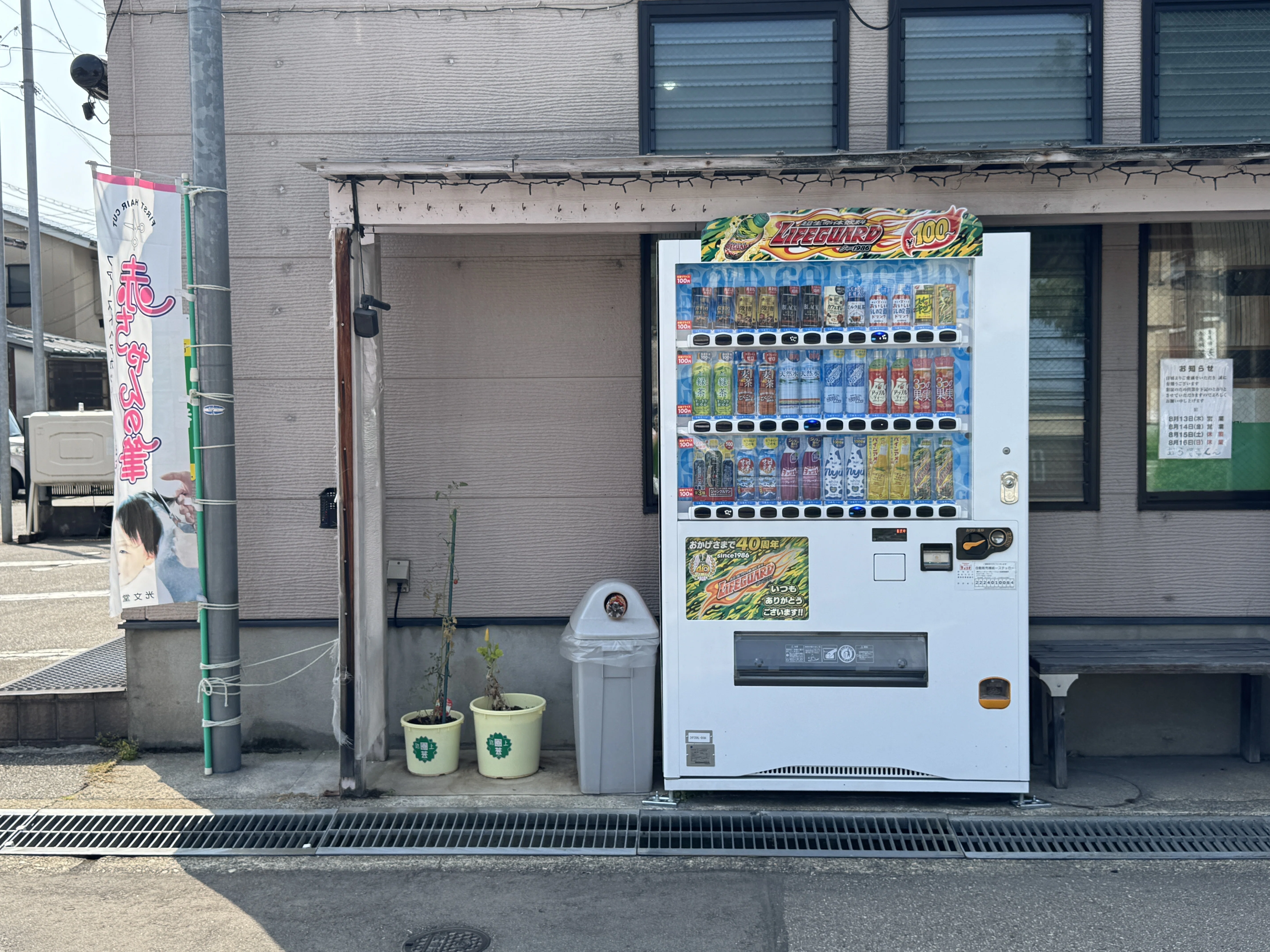 みんなの手で育っている展示｜村田あやこ