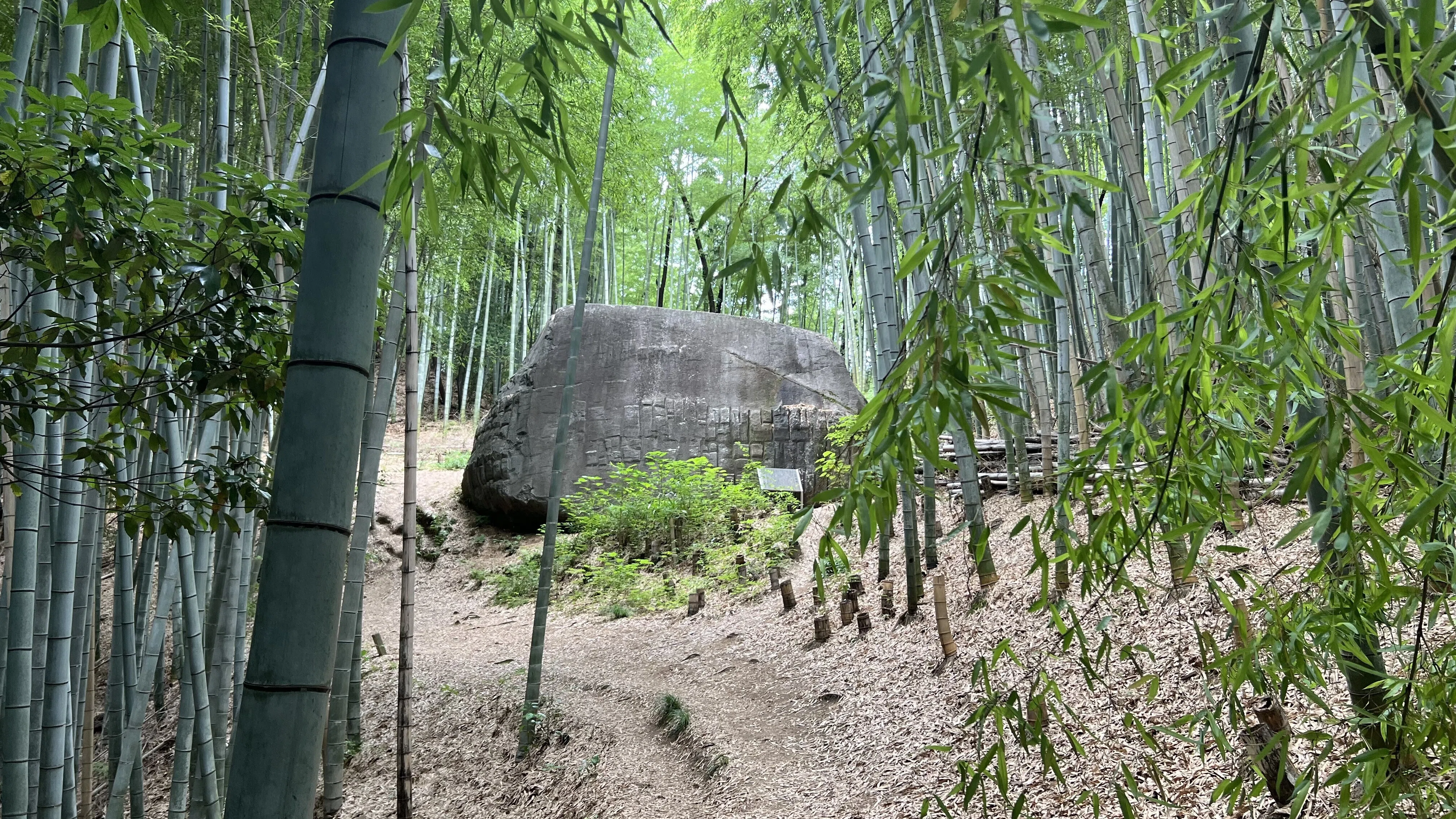 【中古】 虹玉の皇子/小学館/香村日南 祝🎉世界文化遺産 明日香村｜ami travel / 憧れの旅先