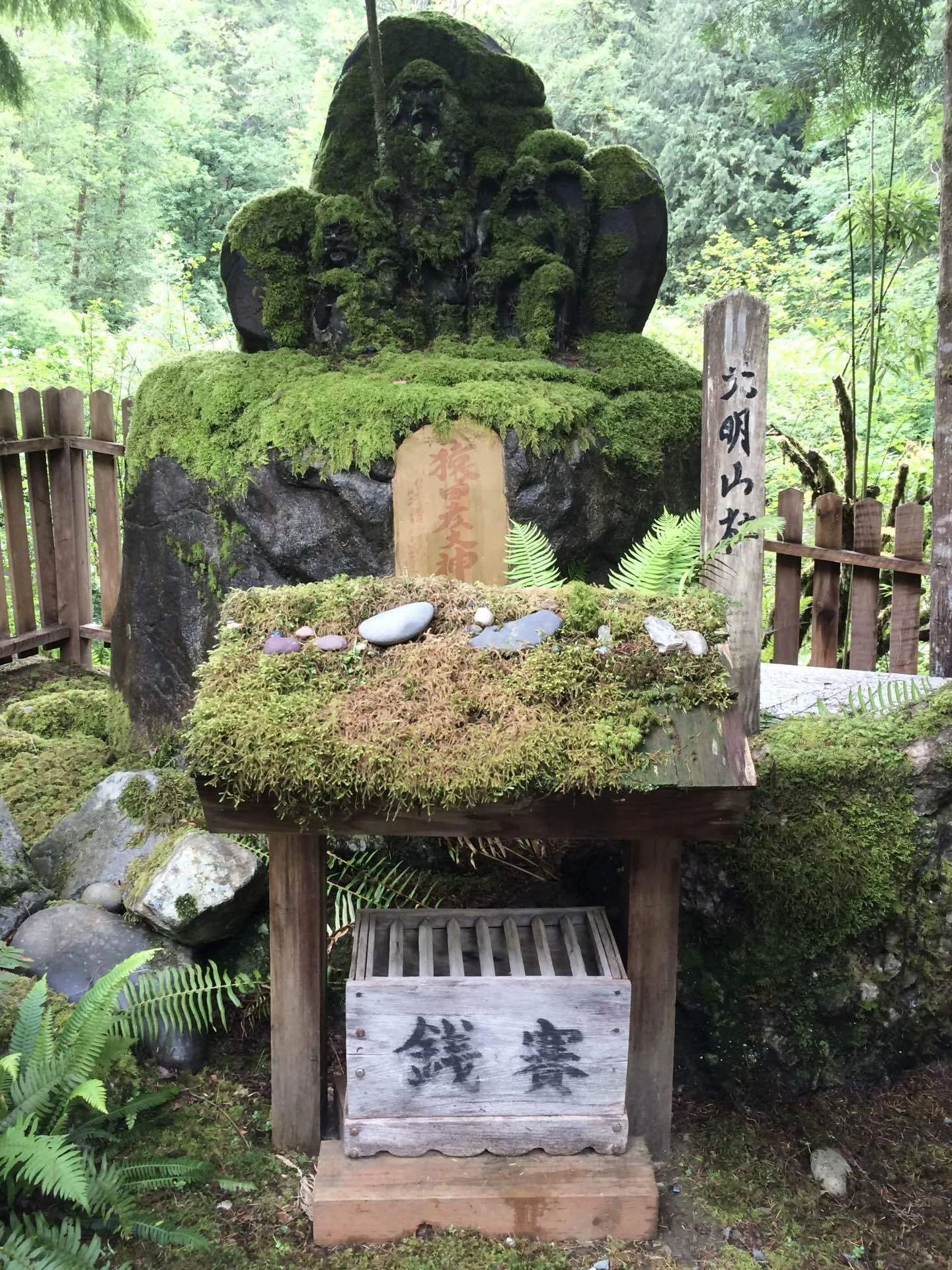 シアトル郊外】ここは日本？「アメリカ椿大神社」の思い出 //イチロー