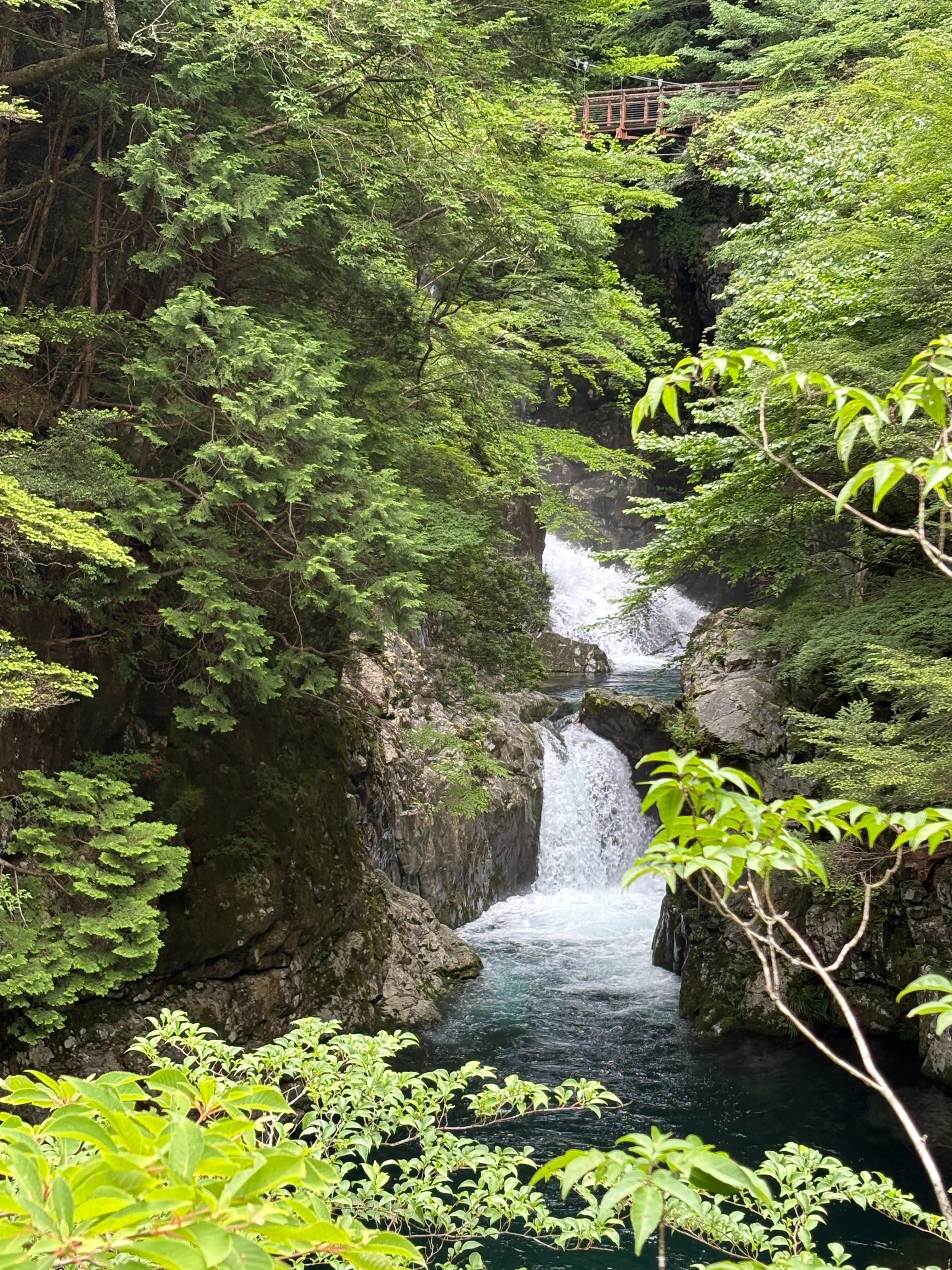 新天河村伝説？〜みたらい渓谷と天河大辨財天社⑧終｜♭のぶ