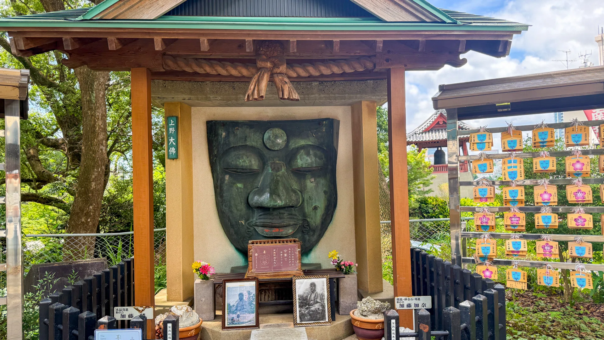 夏の上野さんぽ｜不忍池の蓮と歴史ある神社・お堂を巡る｜Chise