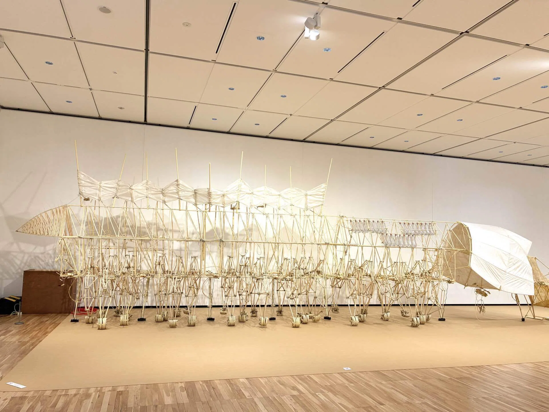 テオ・ヤンセン展｜これはアート？ストランドビースト、砂浜に生きる愛