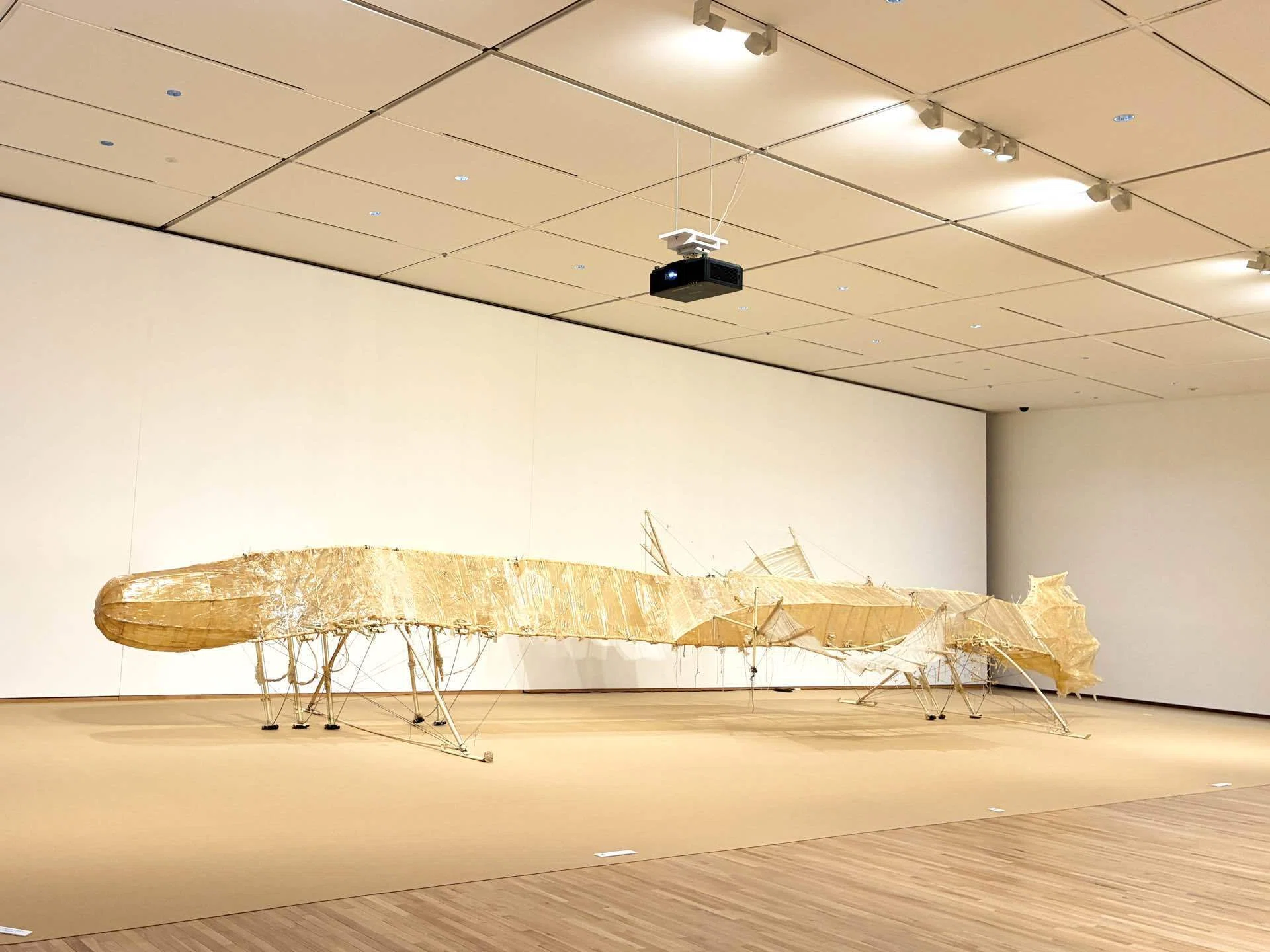 テオ・ヤンセン展｜これはアート？ストランドビースト、砂浜に生きる愛