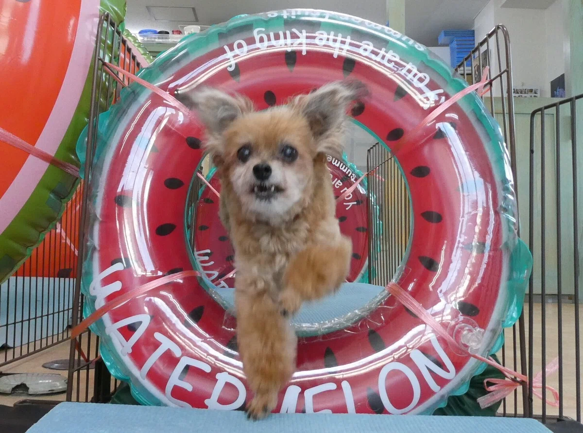 画像