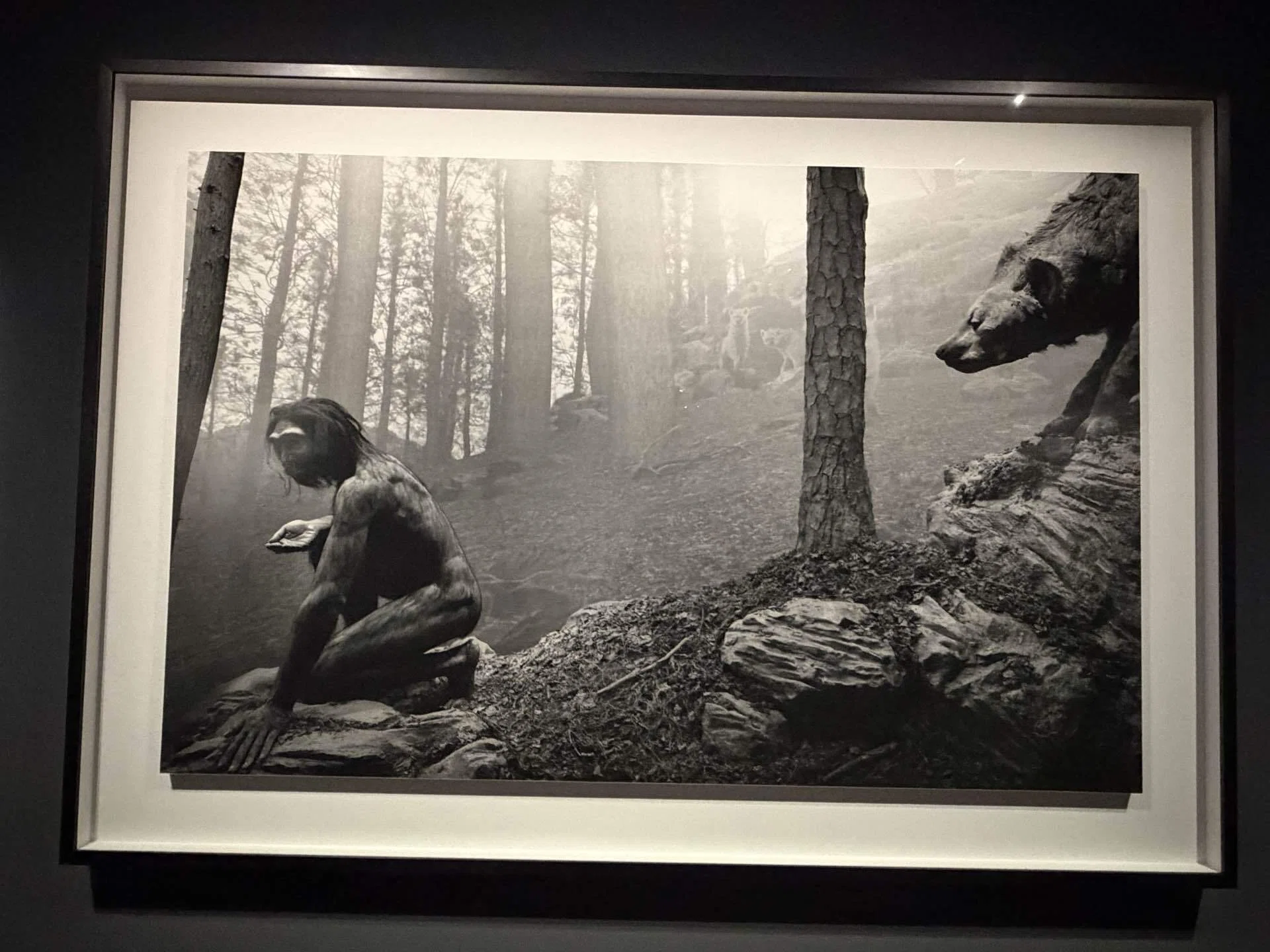 静けさを味わう／杉本博司 絶滅写真@東京国立近代美術館｜Snow