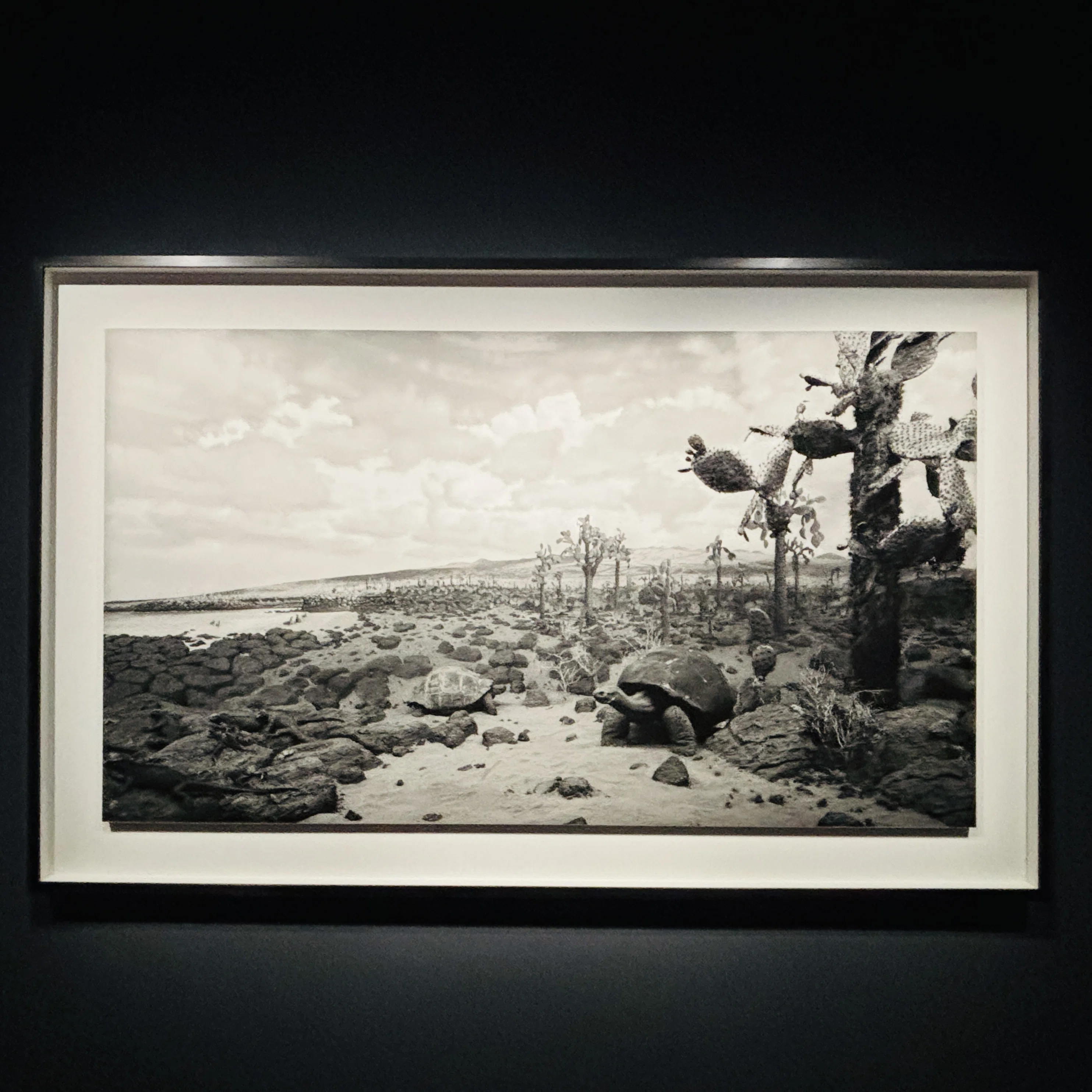 展示を34年つくった私が、杉本博司「絶滅写真」で脱帽した“見えない