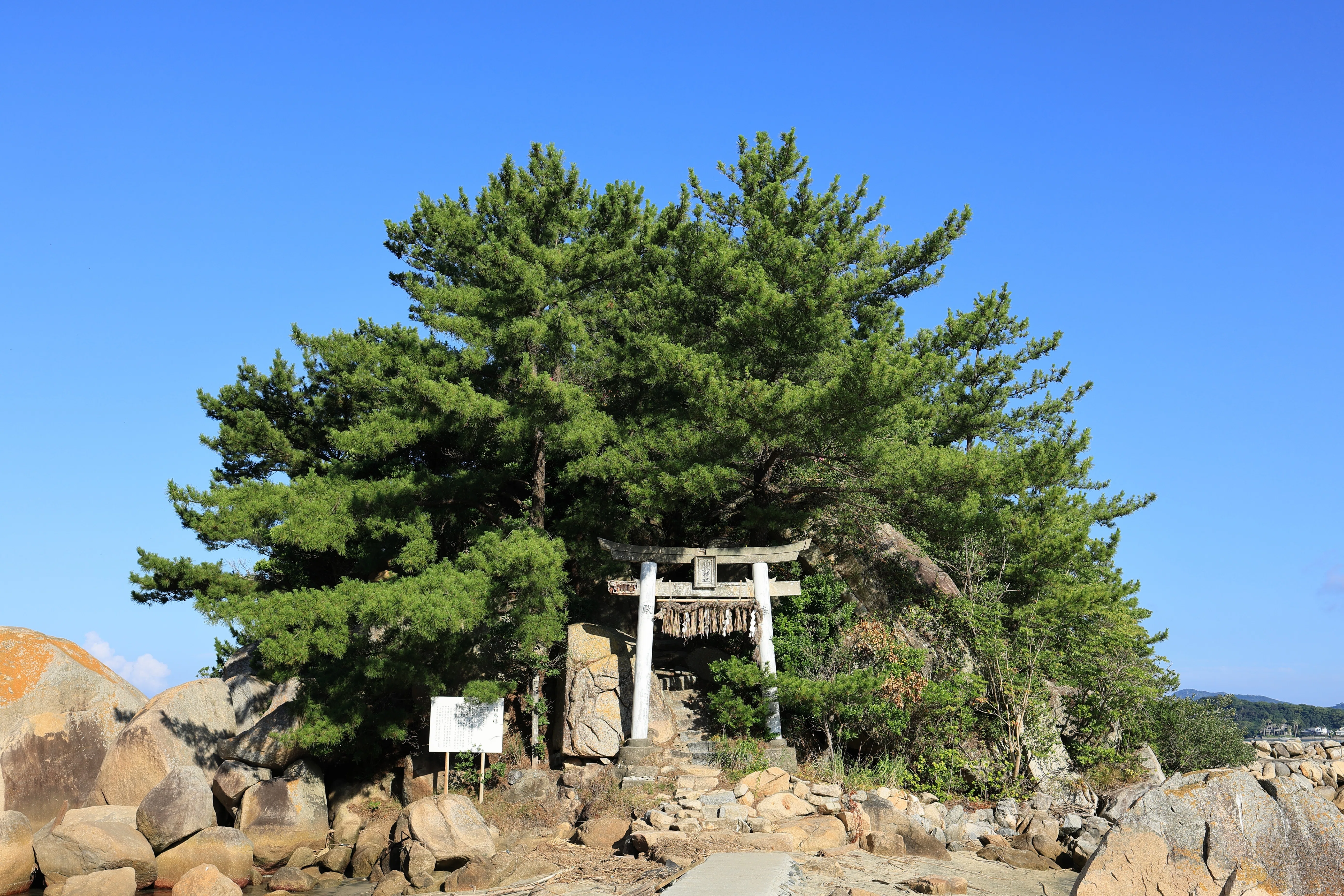 愛の神様～「箱島神社」2026/7/25訪問｜sama sama