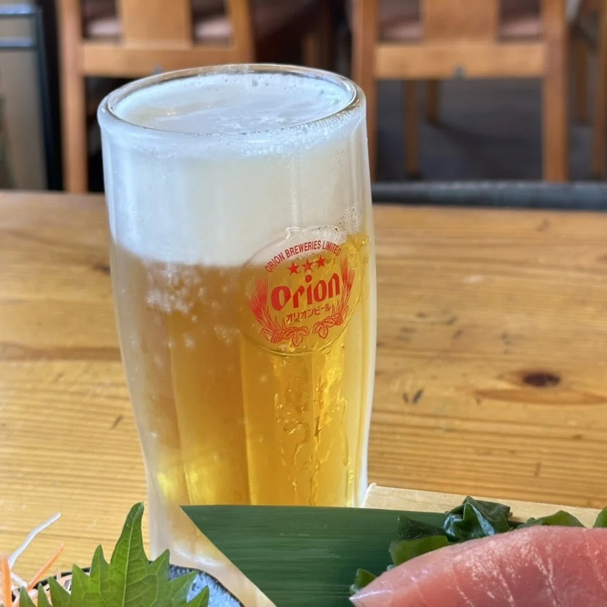 [Okinawa Solo Trip Without a Car 10 Days 2023] #4 Northern Okinawa Main ...
