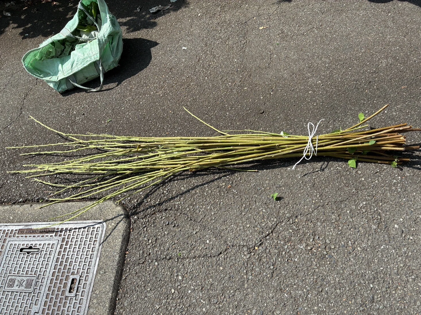 カラムシをむきました｜中央市豊富郷土資料館