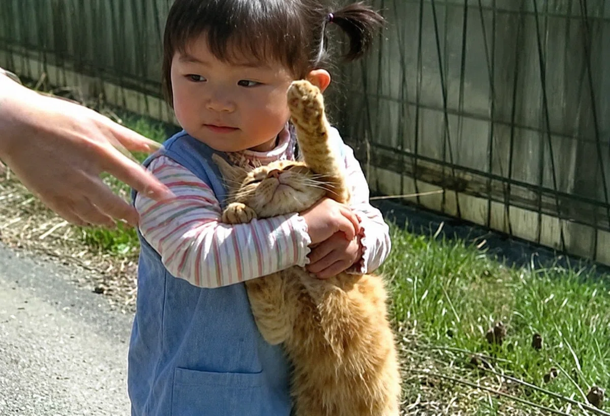 小さな女の子が、大好きな猫ちゃんを「可愛い!」とギュッと力いっぱい抱きしめている光景
