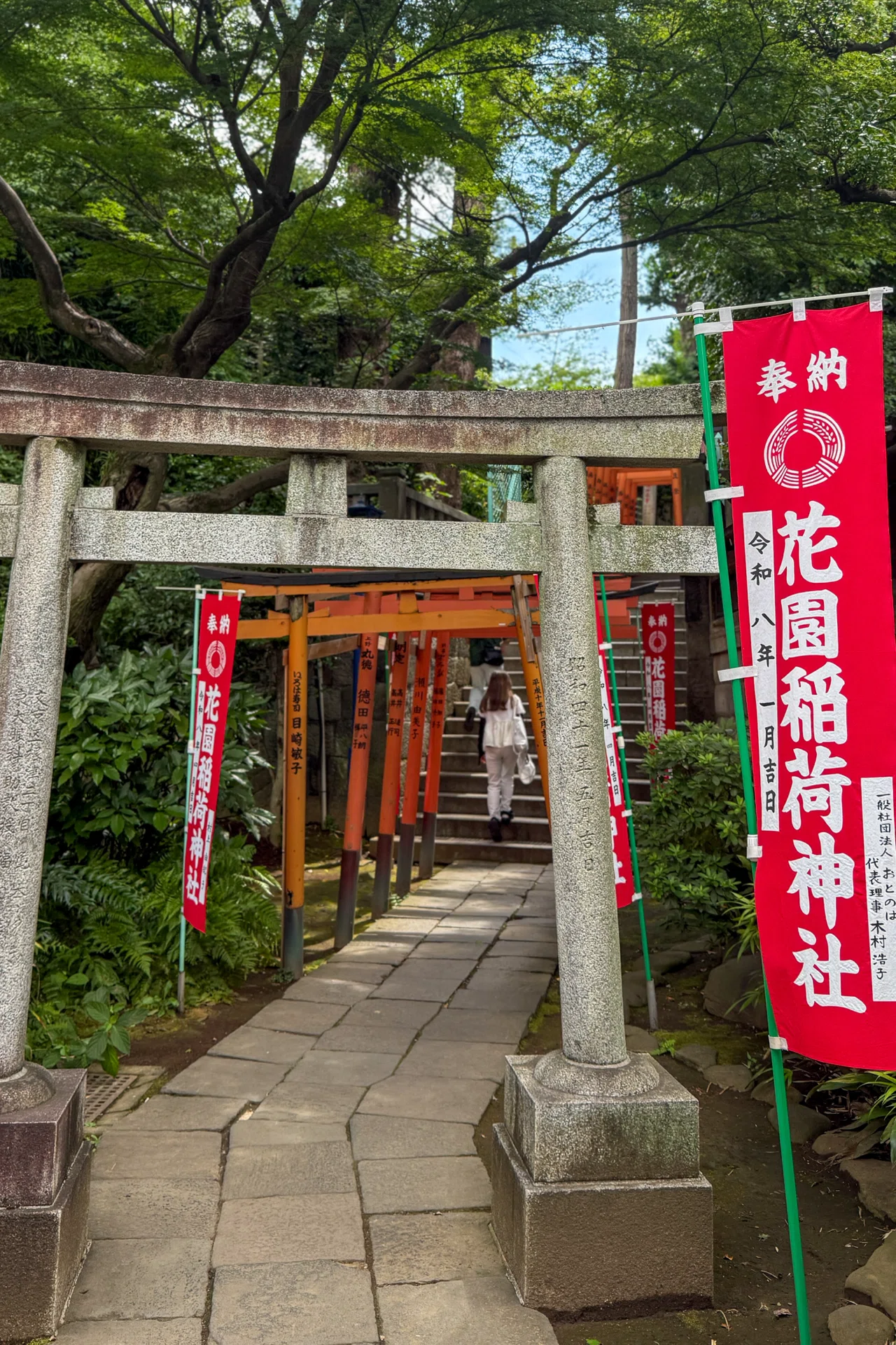 夏の上野さんぽ｜不忍池の蓮と歴史ある神社・お堂を巡る｜Chise