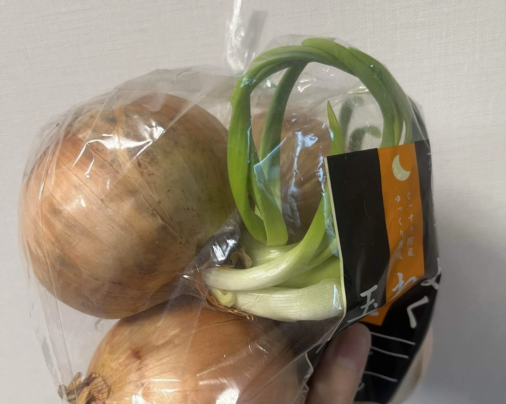 3行日記】玉ねぎからネギが生えた｜えまち⌇日常エッセイ