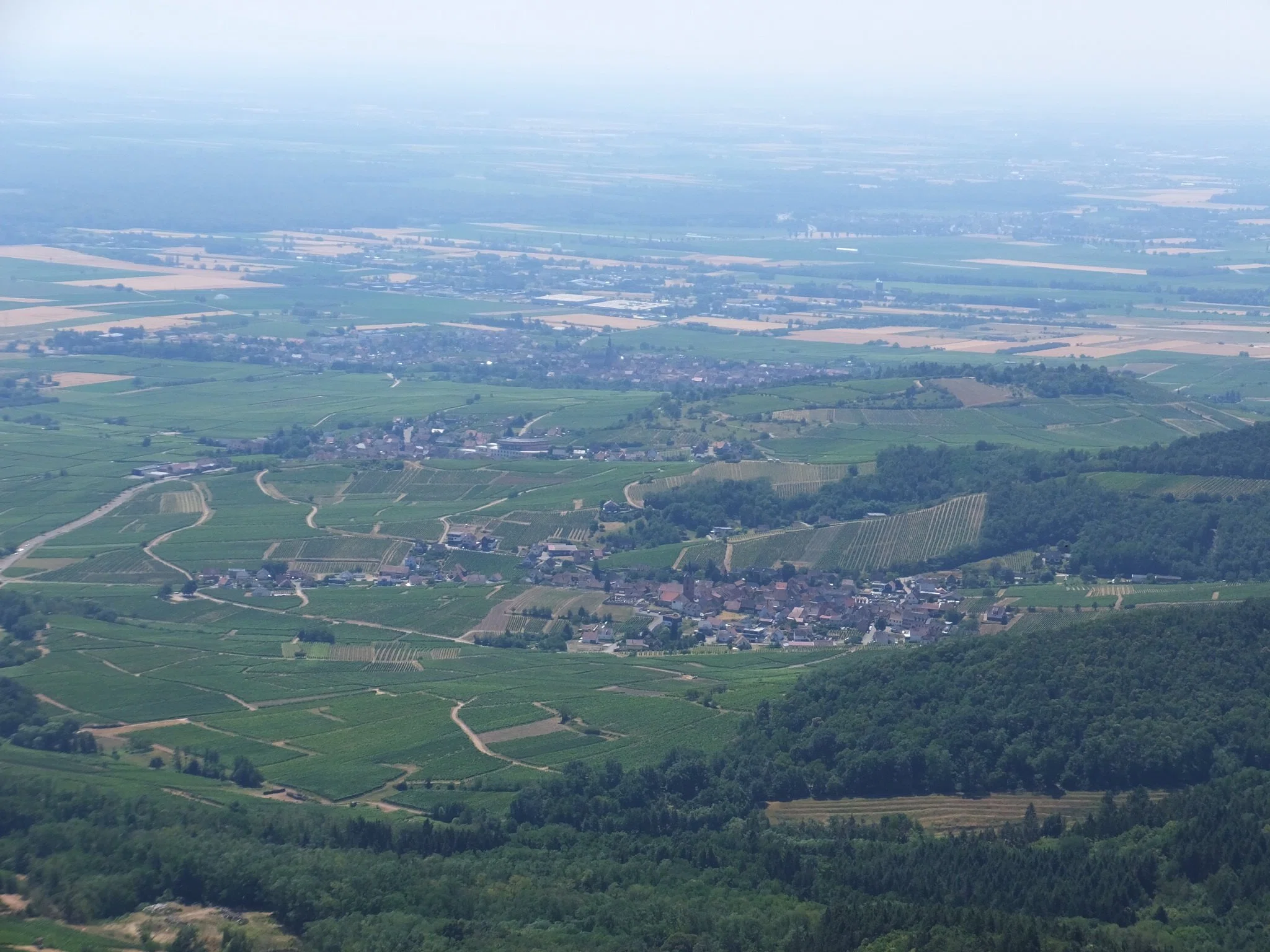 アルザス地方、下から見るか上から見るか。#🇫🇷｜ゆらり