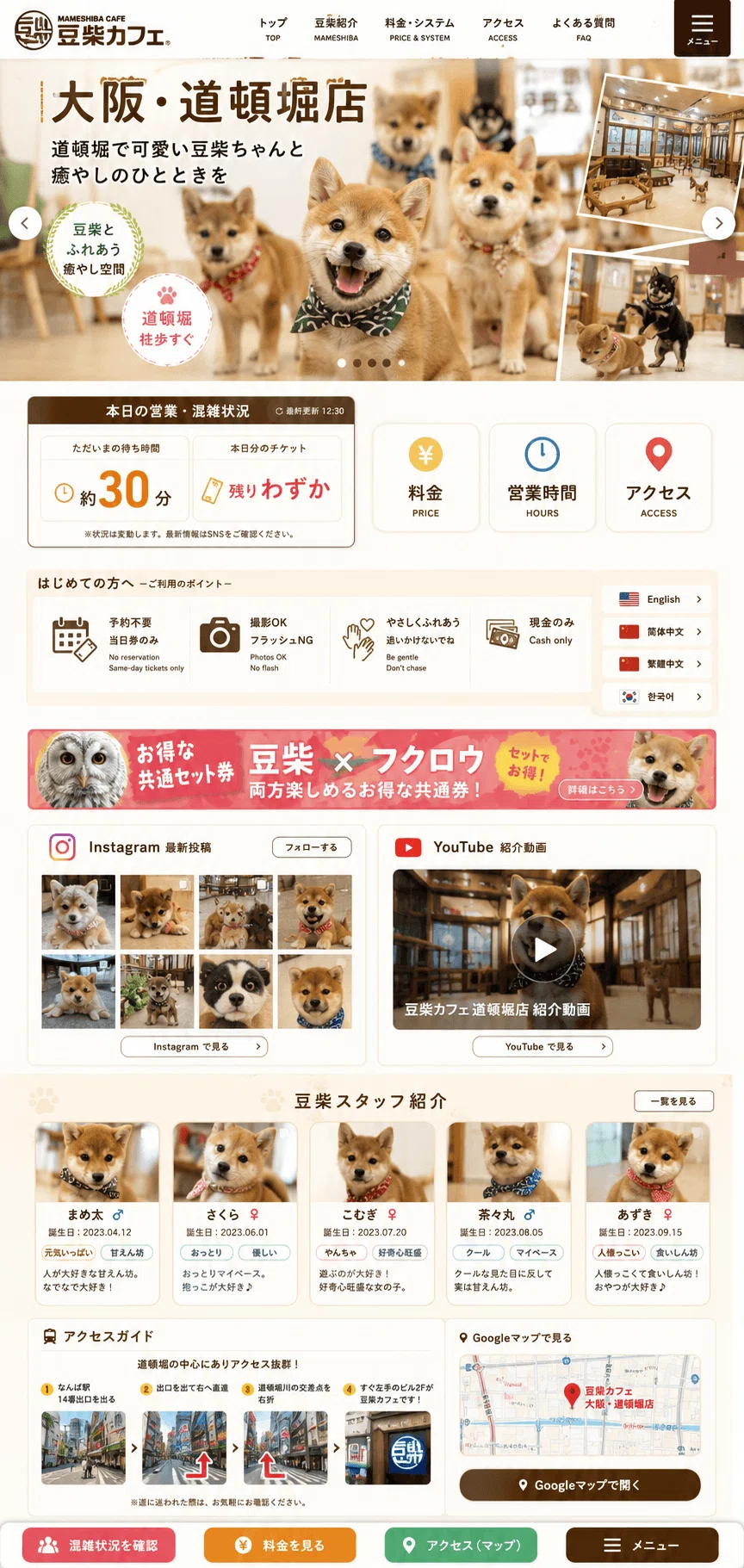 豆柴さま専用ページ 1785075844-