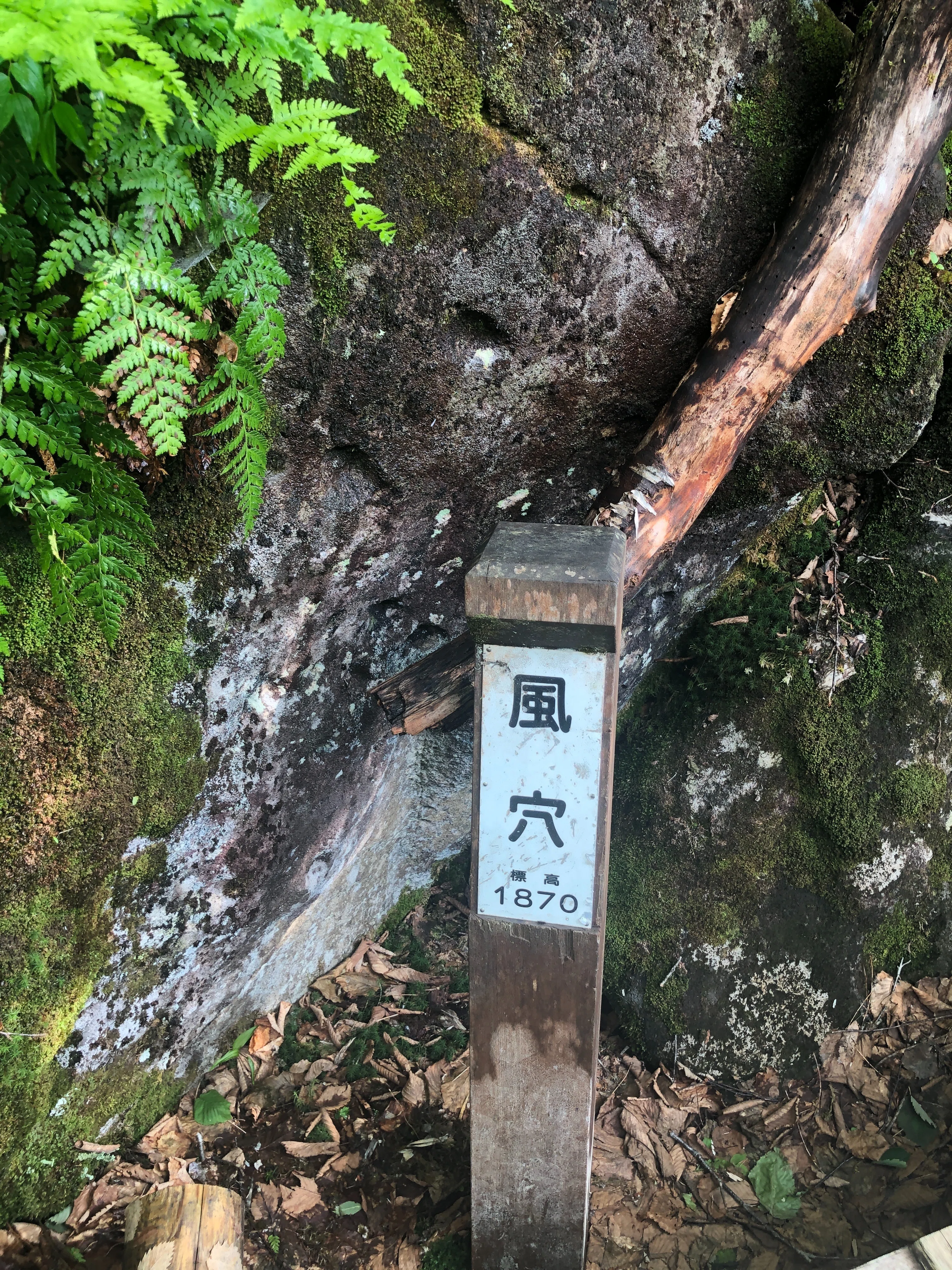 栂池（つがいけ）は、なぜ日本が誇るべき自然遺産なのか｜FM白馬
