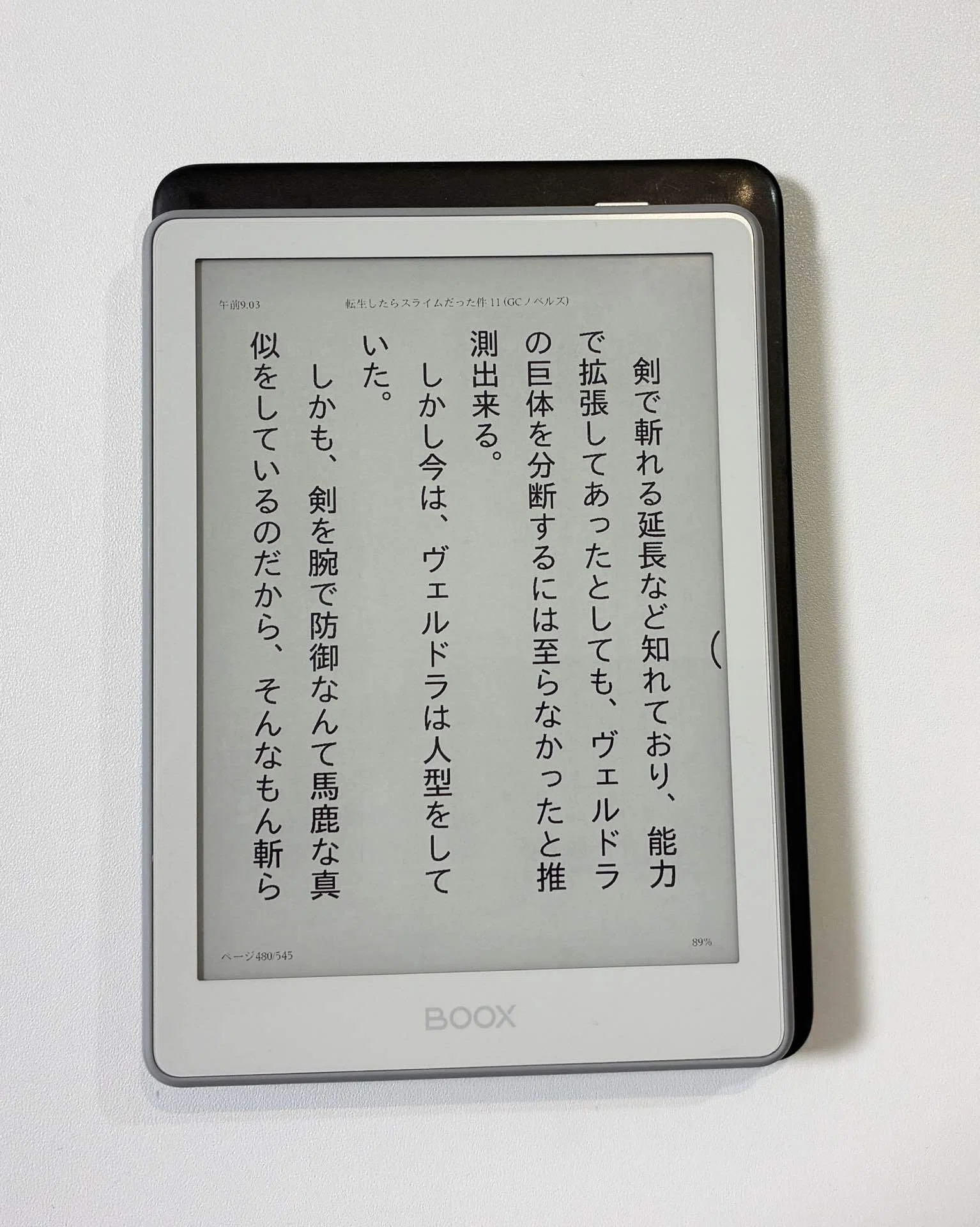 Kindleよりコンパクト‼︎「BOOX Go6(Gen2) 13:Einkが好き｜アジル氏