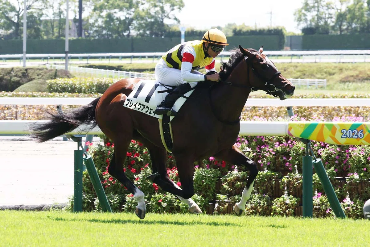 7/25-26 2歳戦振り返り｜さら。