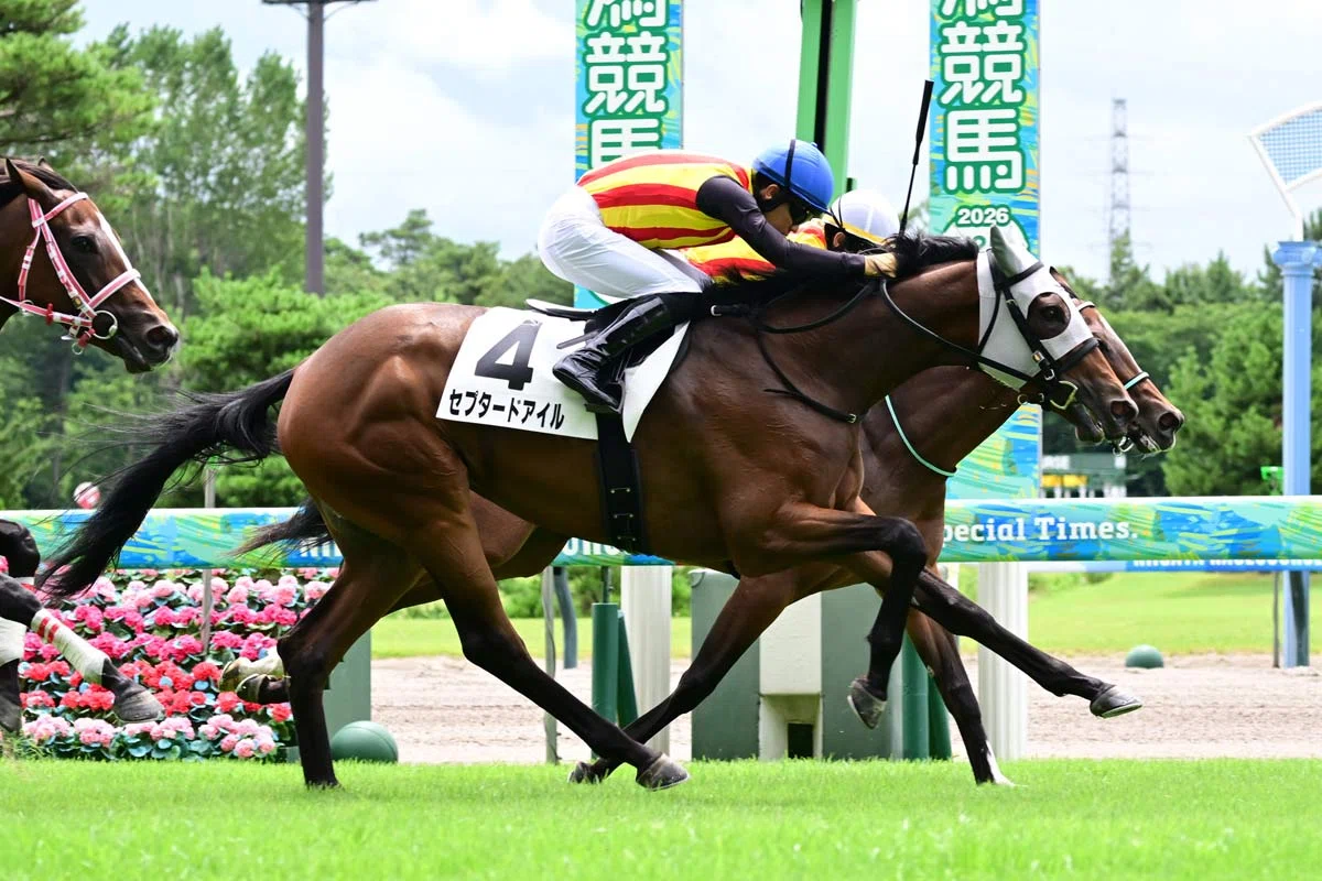 7/25-26 2歳戦振り返り｜さら。
