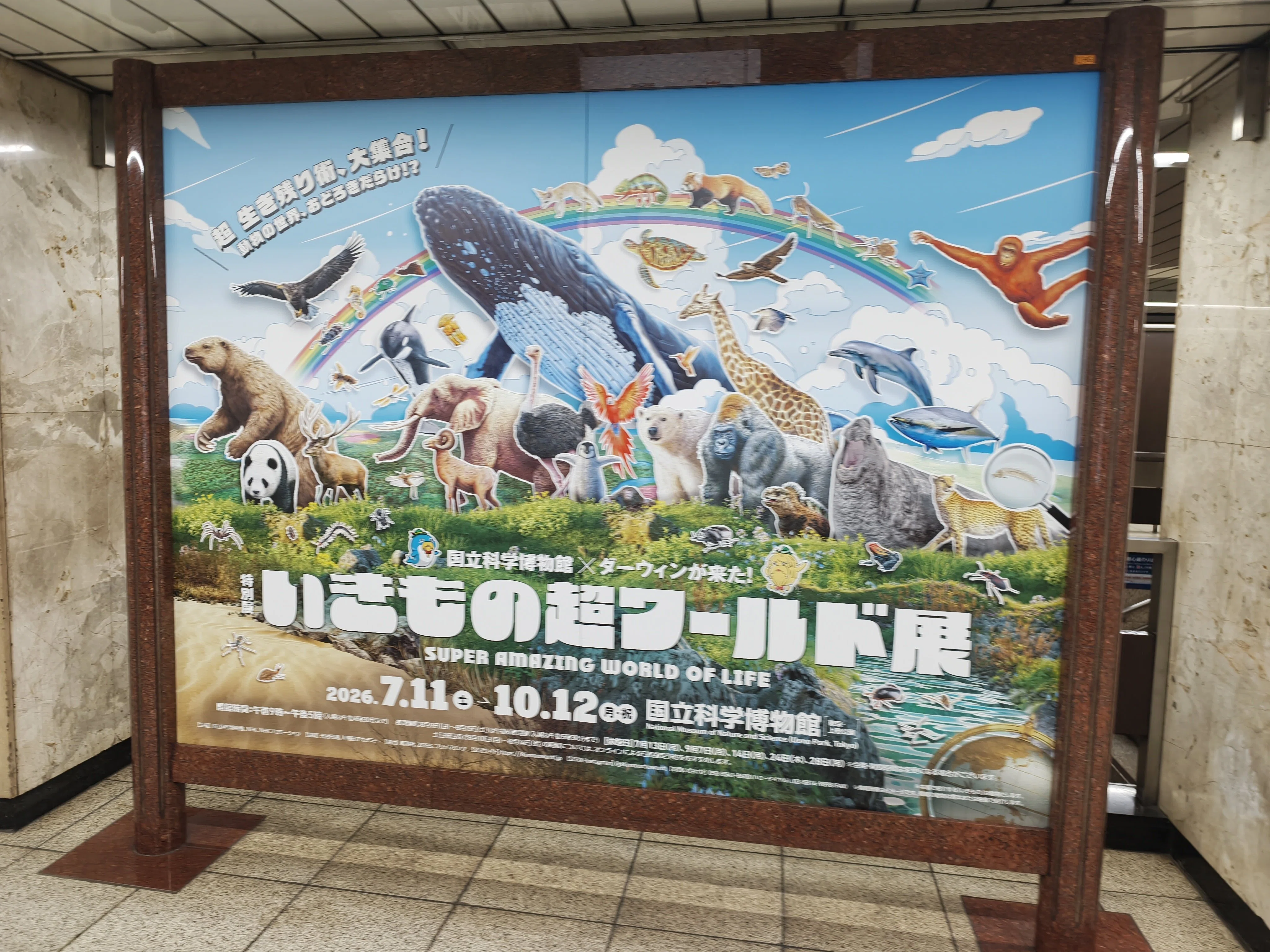 いきもの超ワールド展の広告 | 2026/8/2｜加藤誠也 広告巡礼