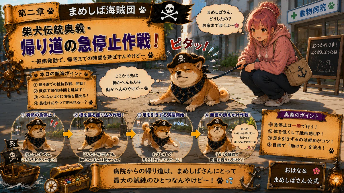 [Casual Daily Life] The Mameshiba Pirate Crew: The Way Home from the ...
