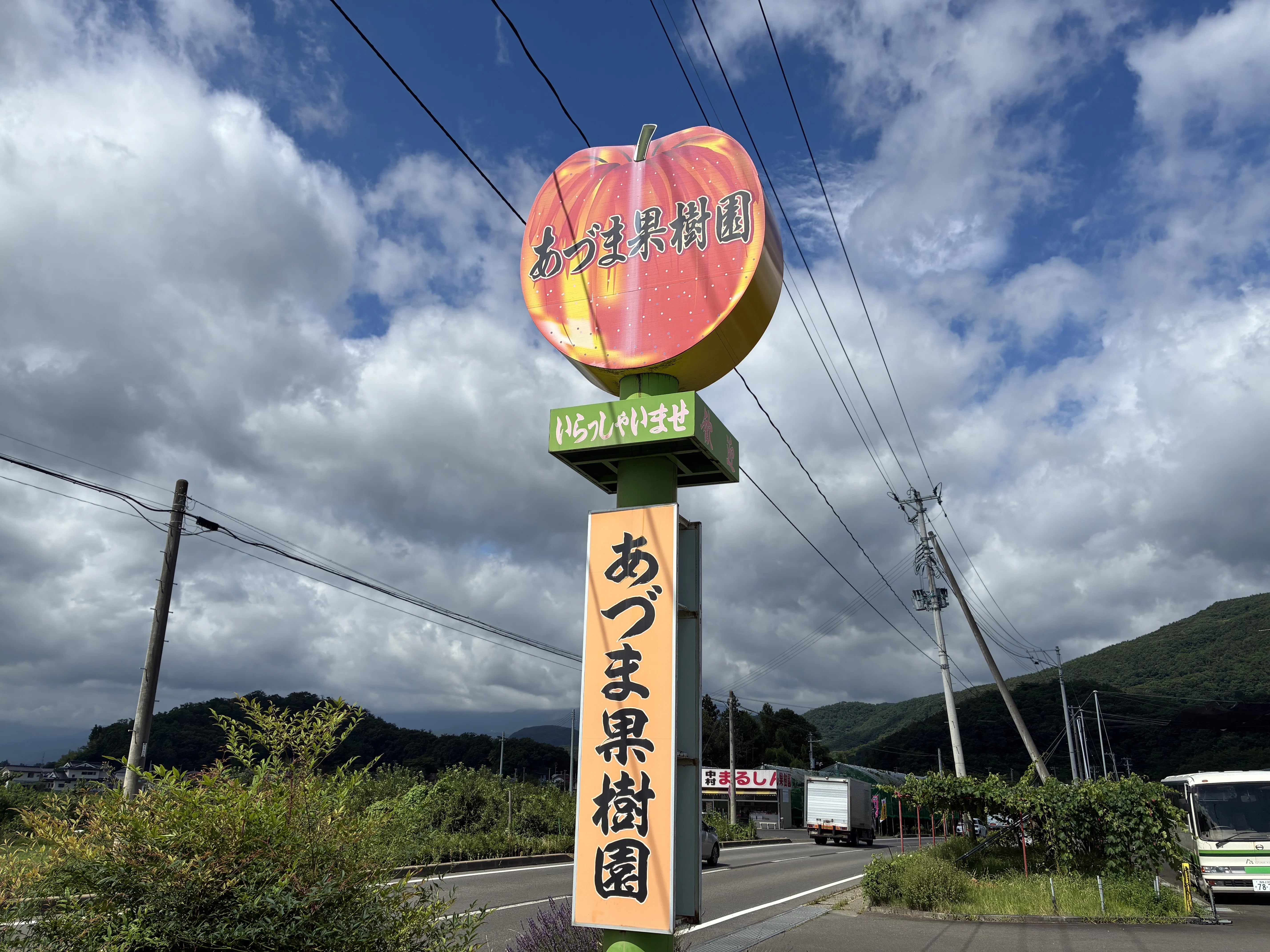 夏の福島、桃まみれ。｜お土産買いすぎ