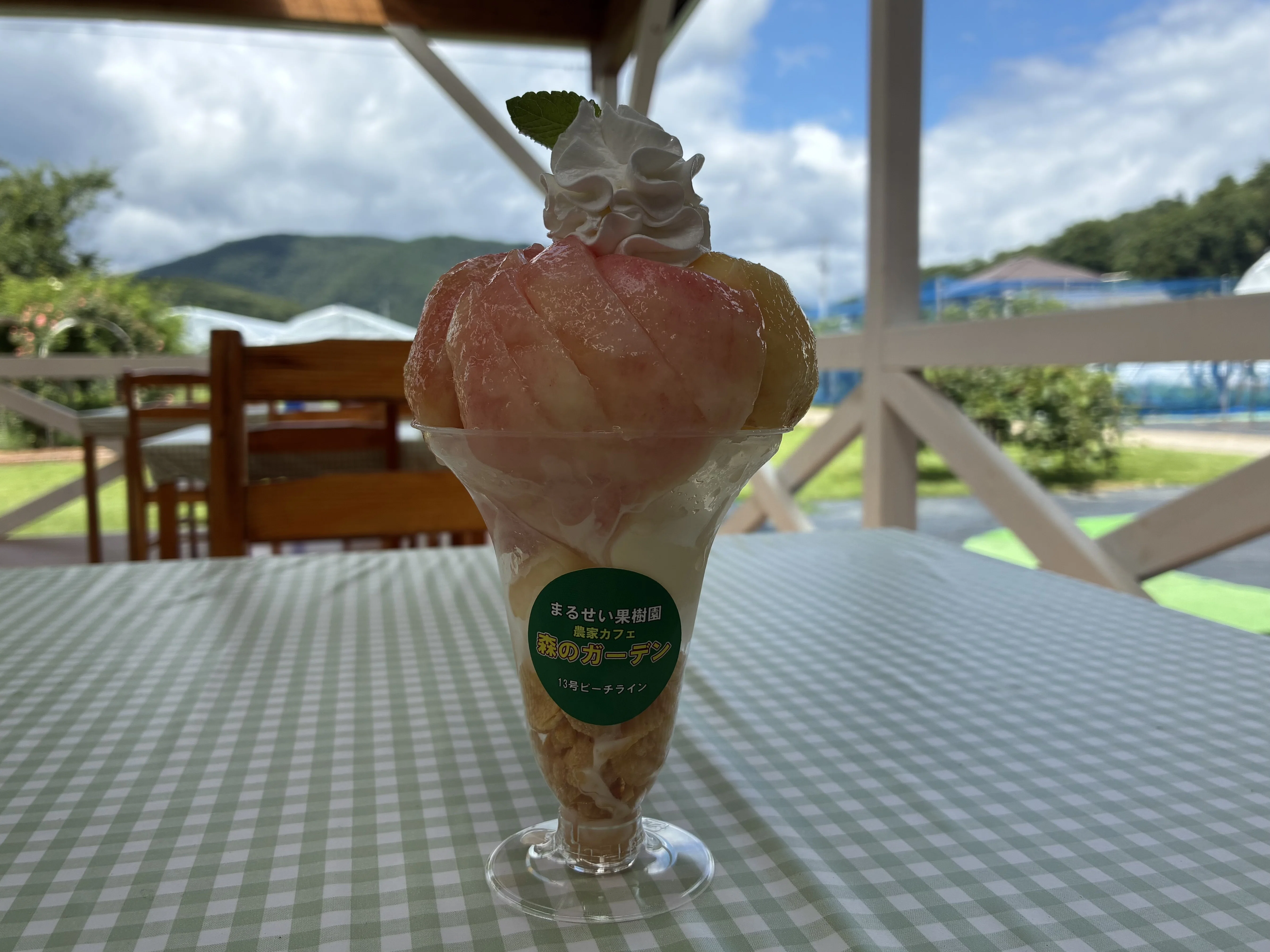 夏の福島、桃まみれ。｜お土産買いすぎ