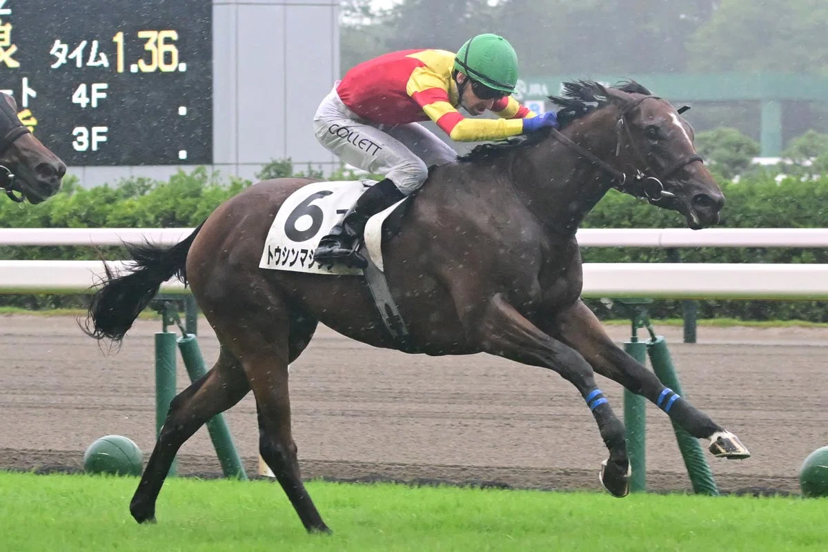 7/25-26 2歳戦振り返り｜さら。