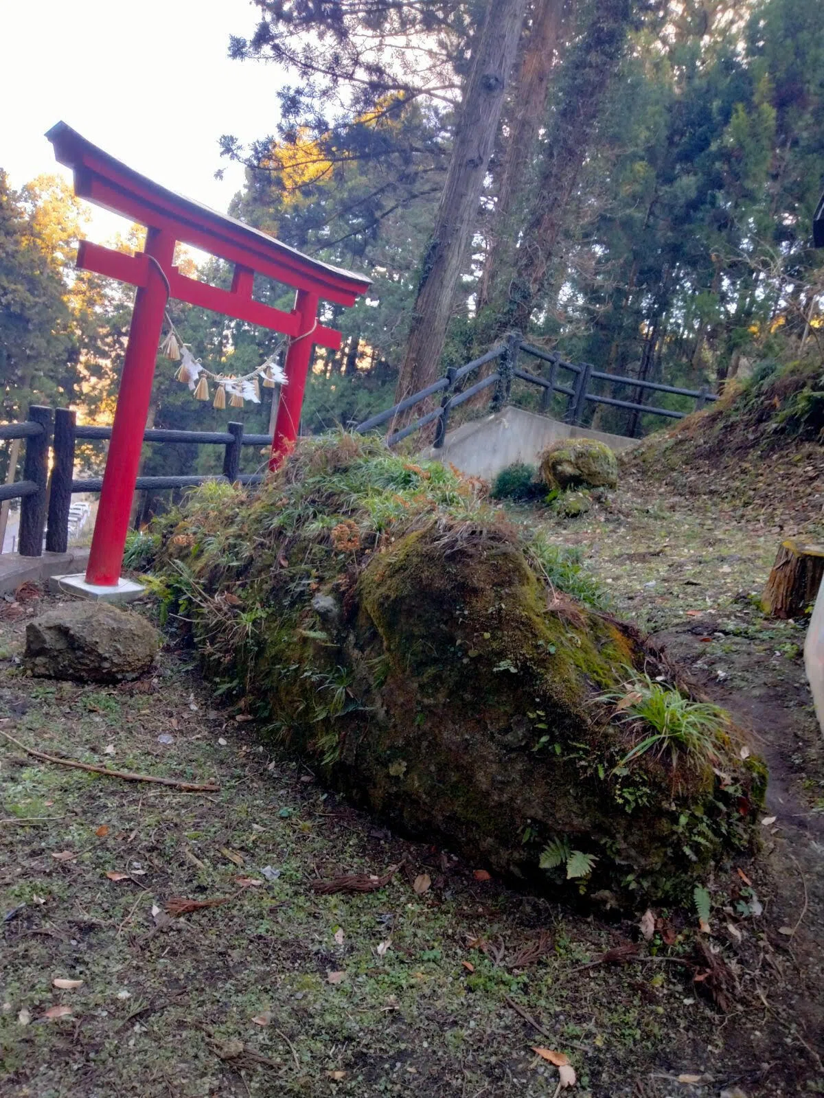 奥の院付近に残る苔むした巨石と朱色の鳥居