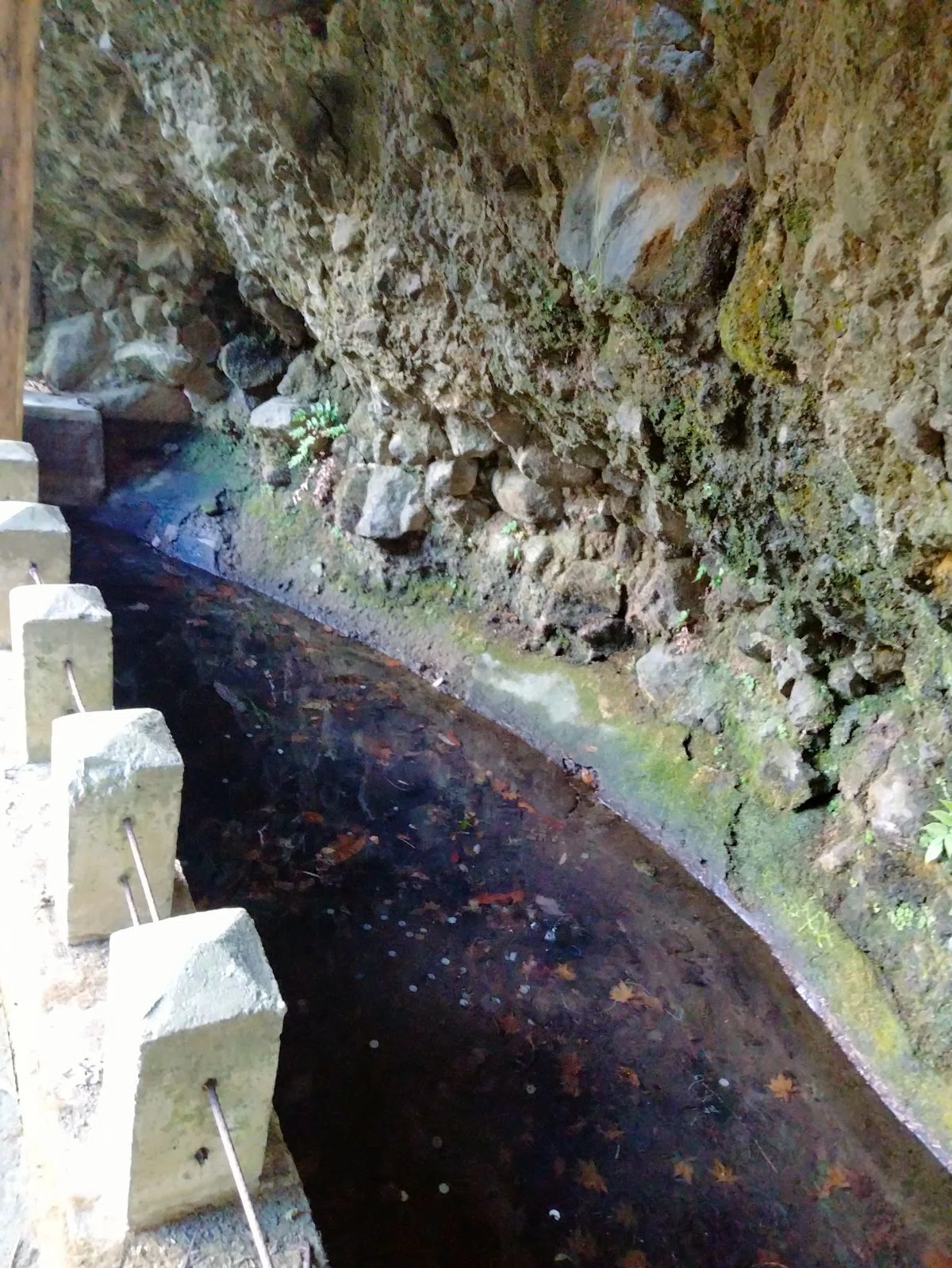 岩肌から水が滴り落ちる龍口神社のおみだらせ