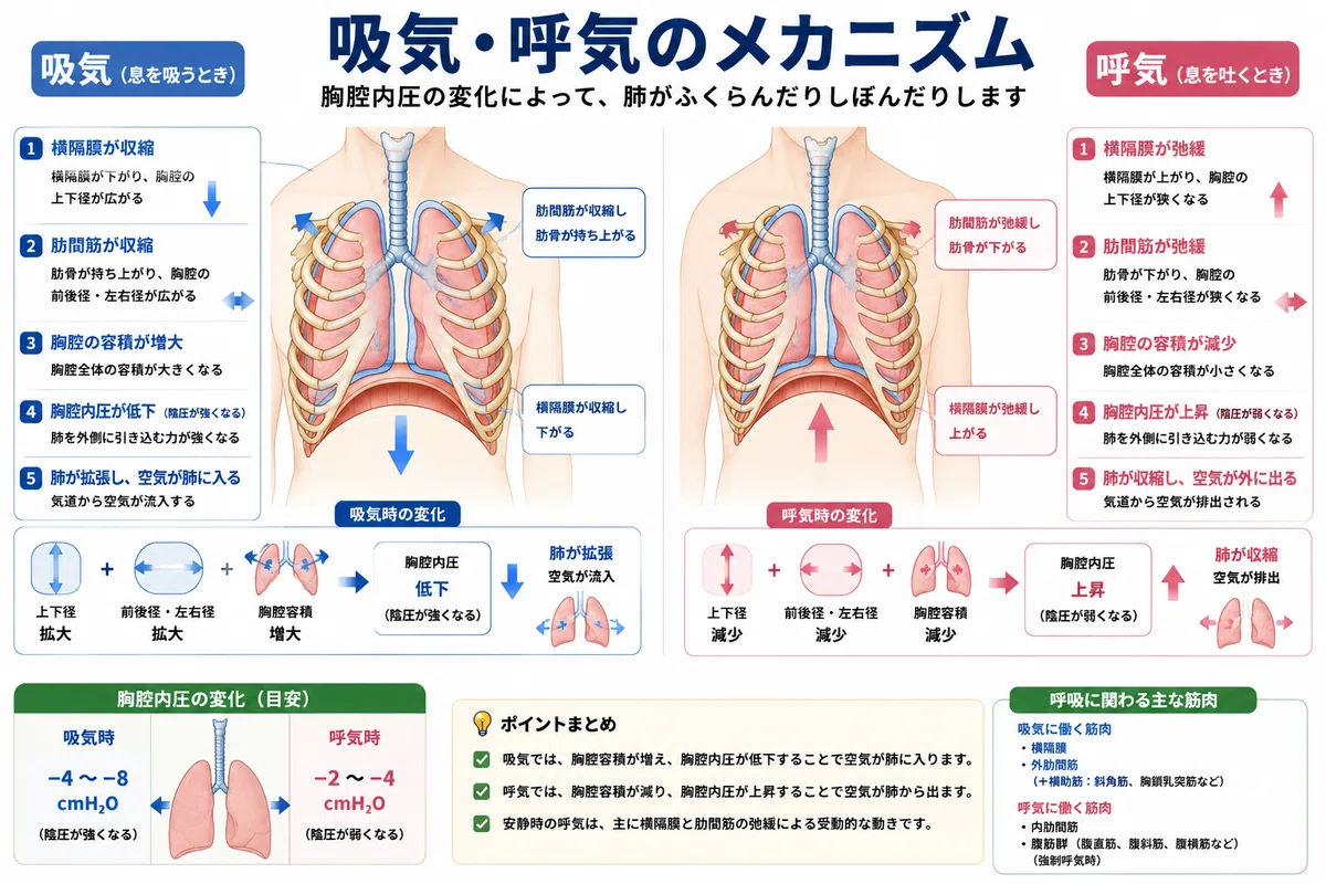 I Passed with Just This One Notebook | 3-Society Respiratory Therapy ...