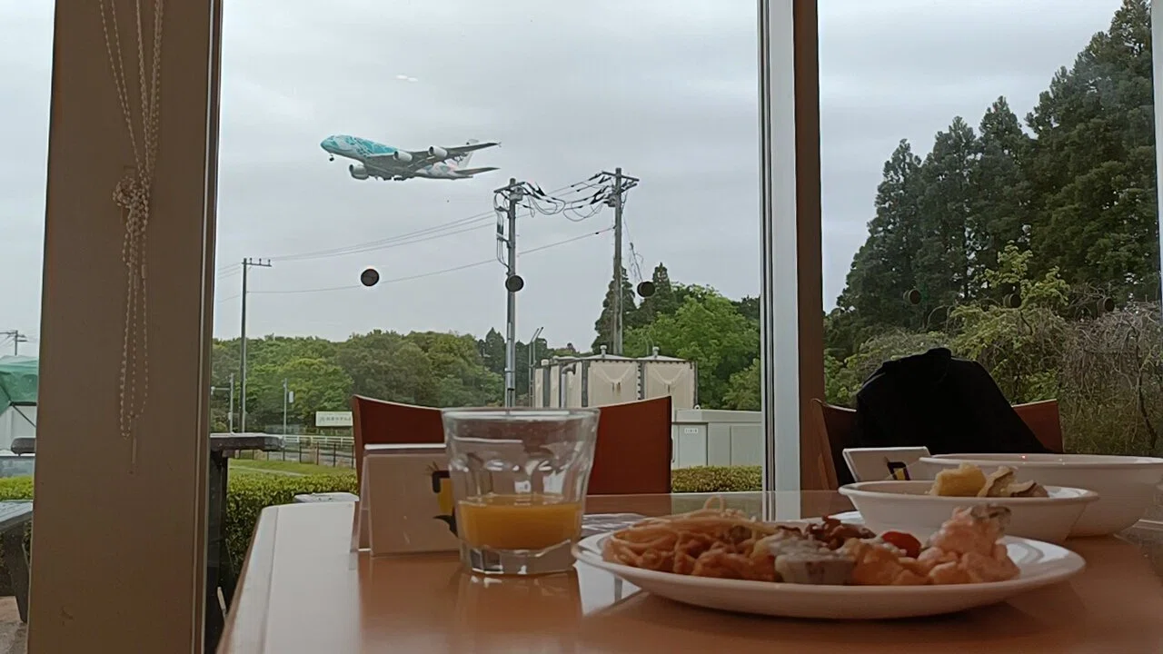 Chiba] Meeting the Flying Honu. A luxurious time spent at Sora no