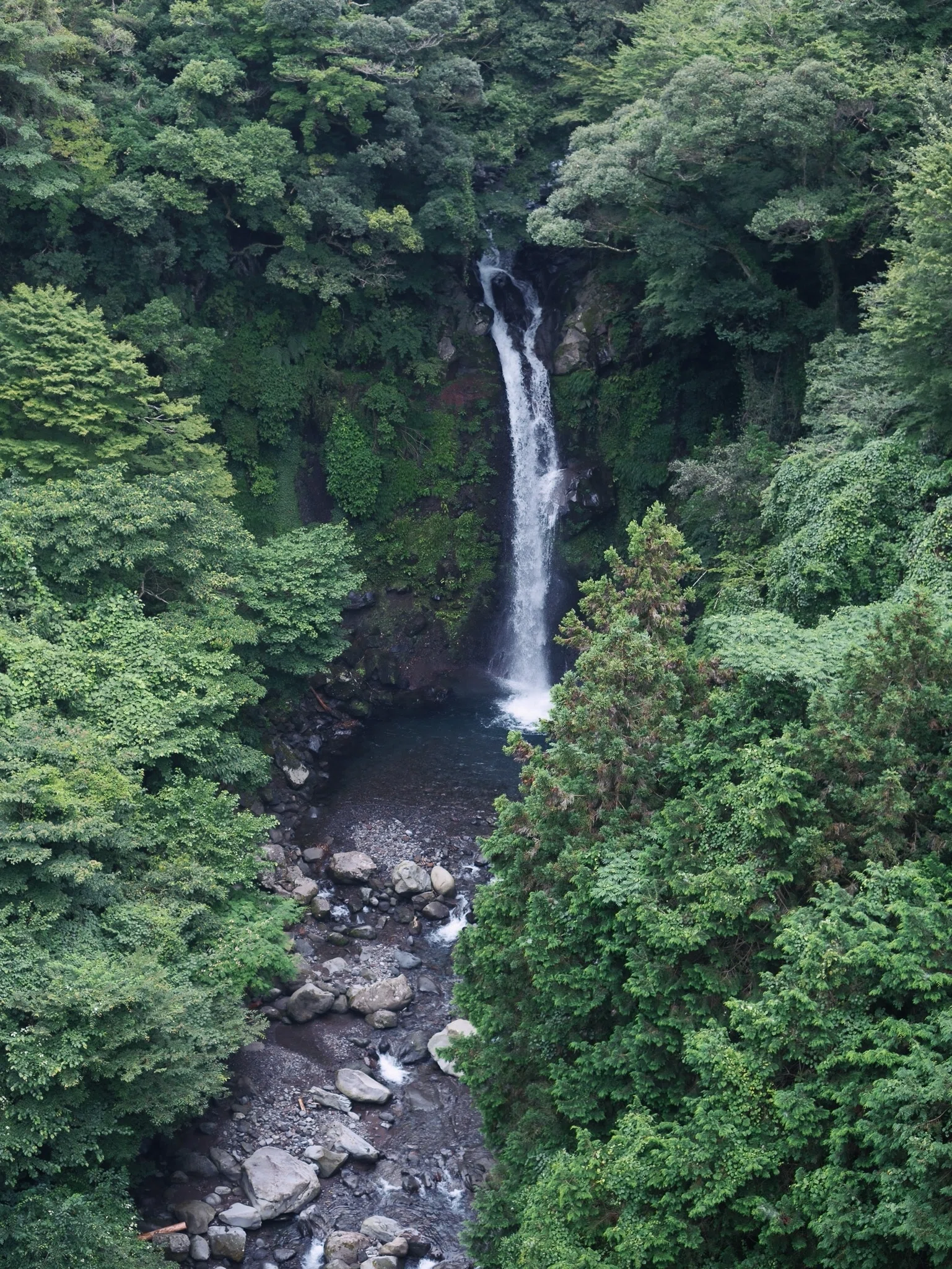 夏のフィールドワーク遠足その1｜須津川溪谷と大棚の滝｜富士すごろく