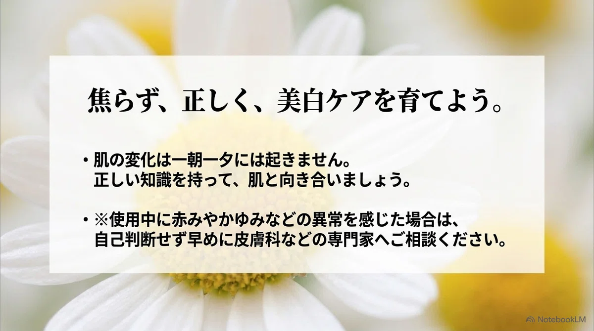 カモミラETのまとめ