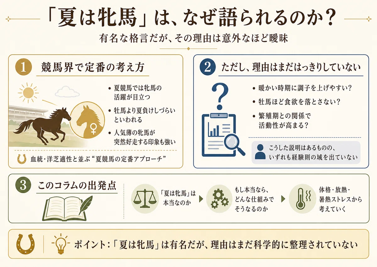 牝馬 と は