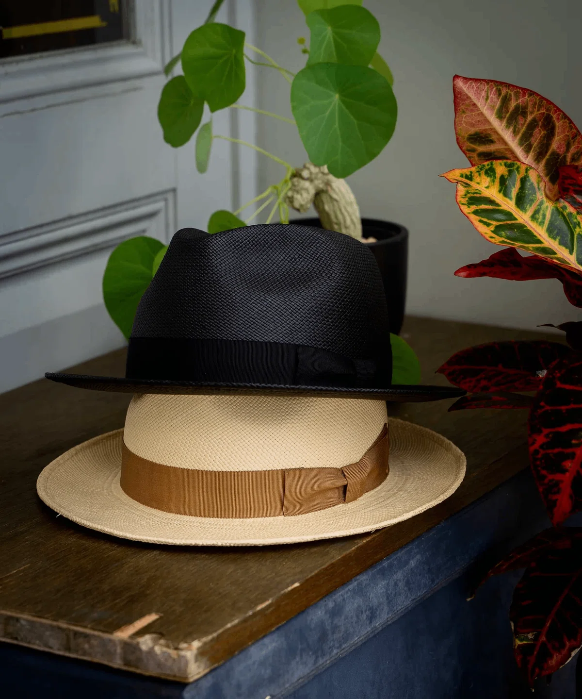 2026 Latest] 10 Selected THE FAT HATTER Straw Hats for Men | How