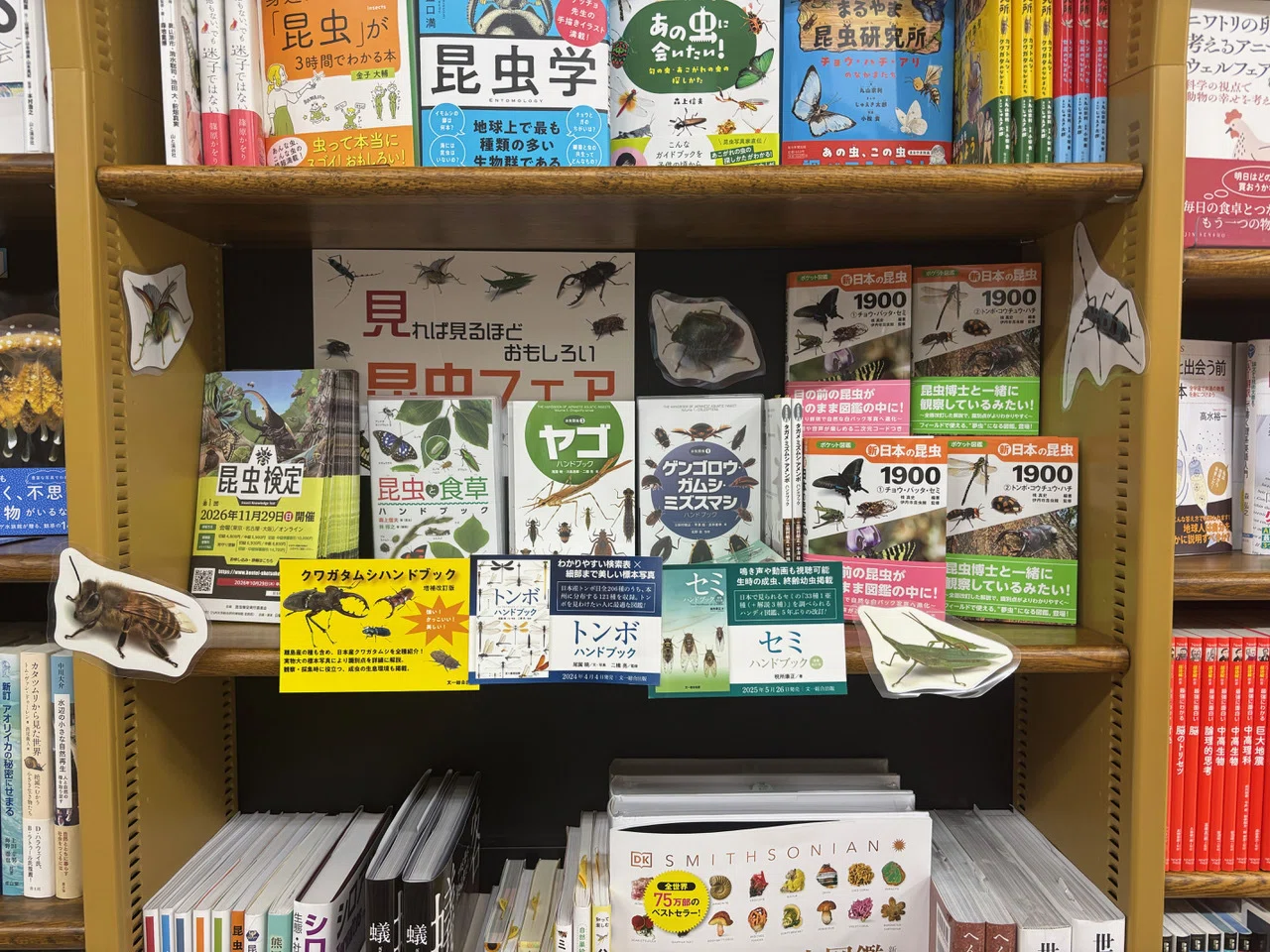書店フェア情報（9/9更新）｜ブンイチ（文一総合出版）