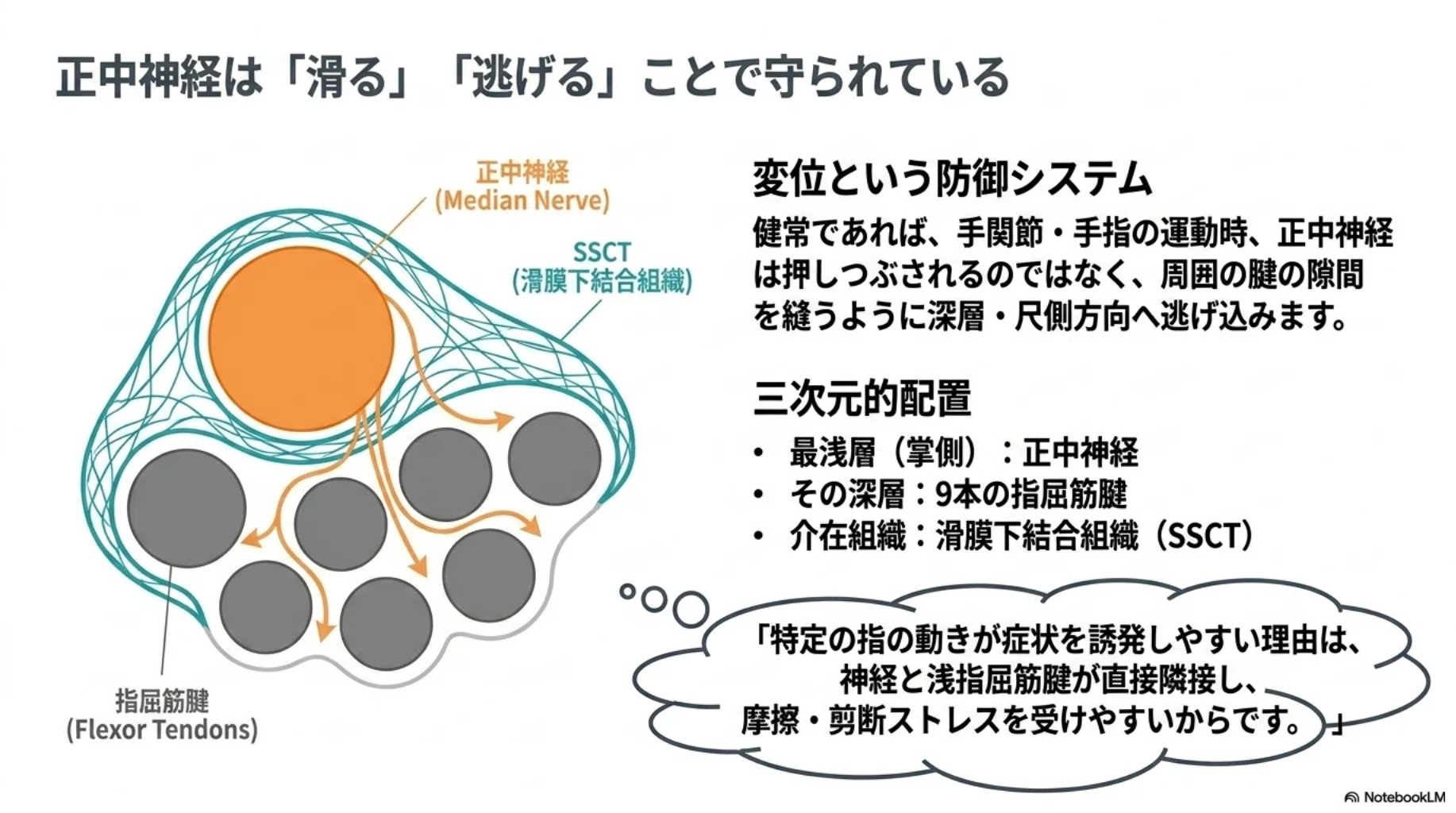 手根管症候群】エビデンスが示す徒手療法の価値。明日から使える精緻な