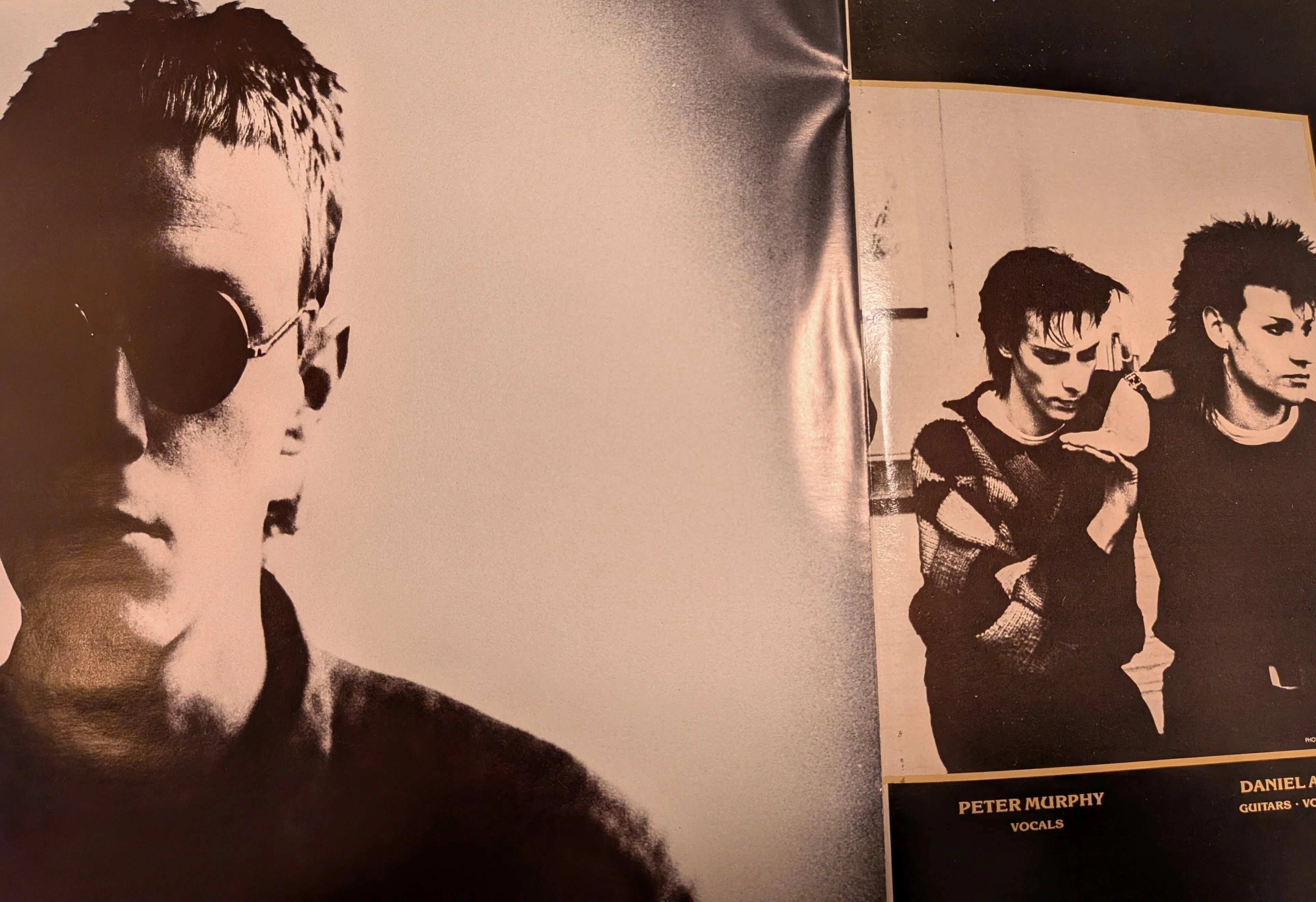 レコード紹介】Bauhaus / 1979-1983：豪華仕様のUK盤で聴く孤高の軌跡