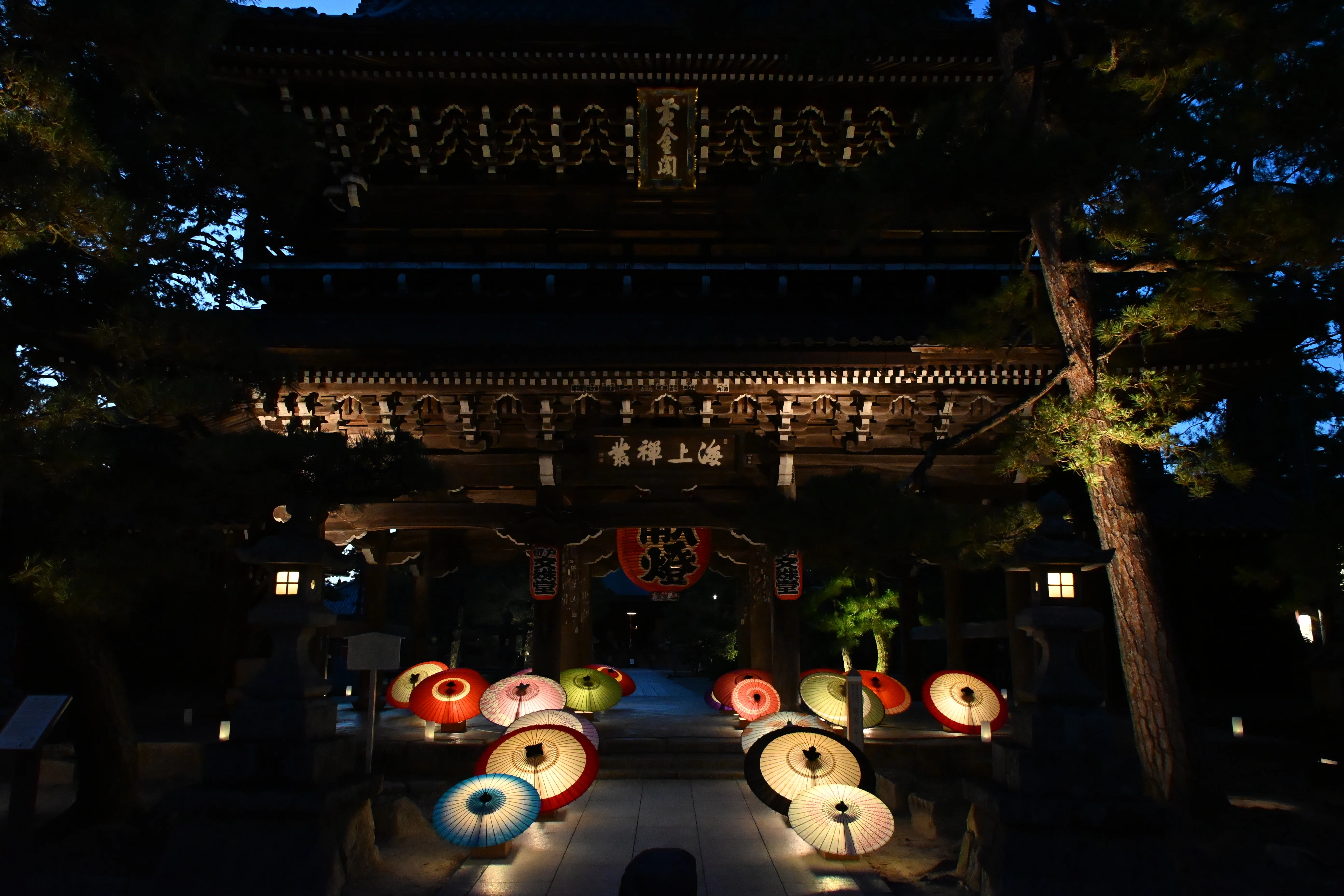 20260725-0726_天橋立（1/3）【Nikon Z50IIと観光】｜山ネズミ