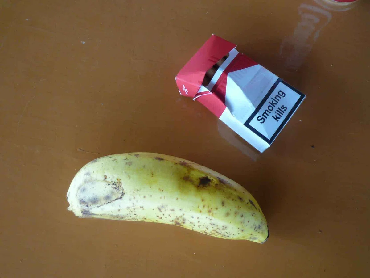 å°ã®äžã«çœ®ããããããäžæ¬ãšããSmoking killsããšæžãããèµ€çœã®ãã°ãã®ç®±