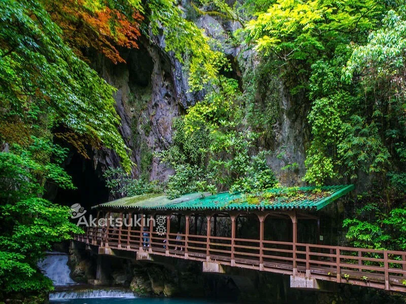 山口】日本最大級の鍾乳洞、秋芳洞の圧倒的スケールに息をのむ｜Akatsuking