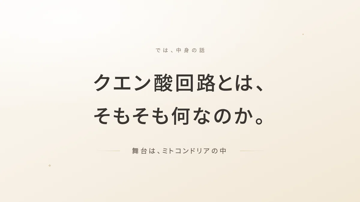ミトコンドリアマトリックスATP | 精密栄養学
