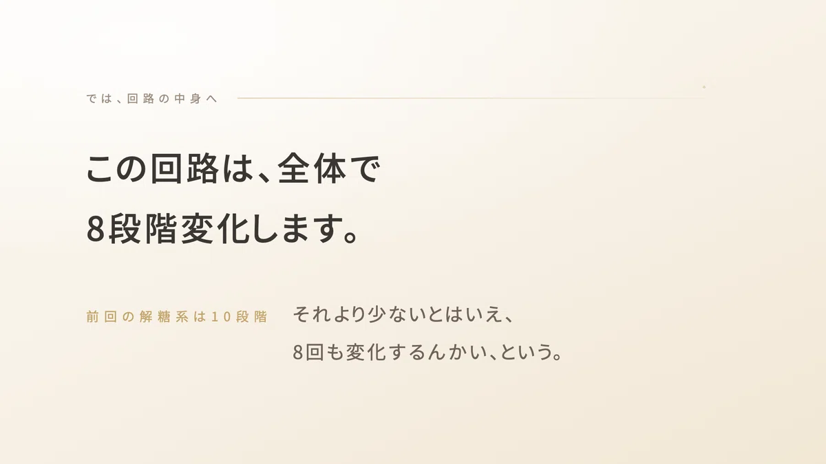クエン酸回路_解糖系_電子伝達系_ミトコンドリア | 精密栄養学