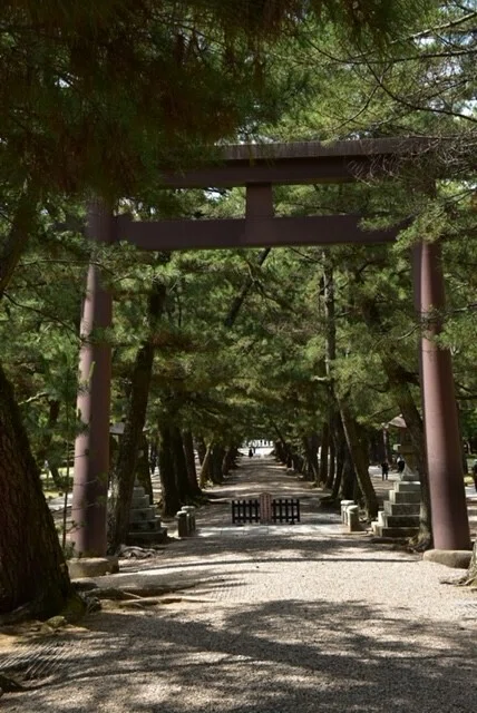 私の寺社巡礼 島根県（出雲大社）｜Furu
