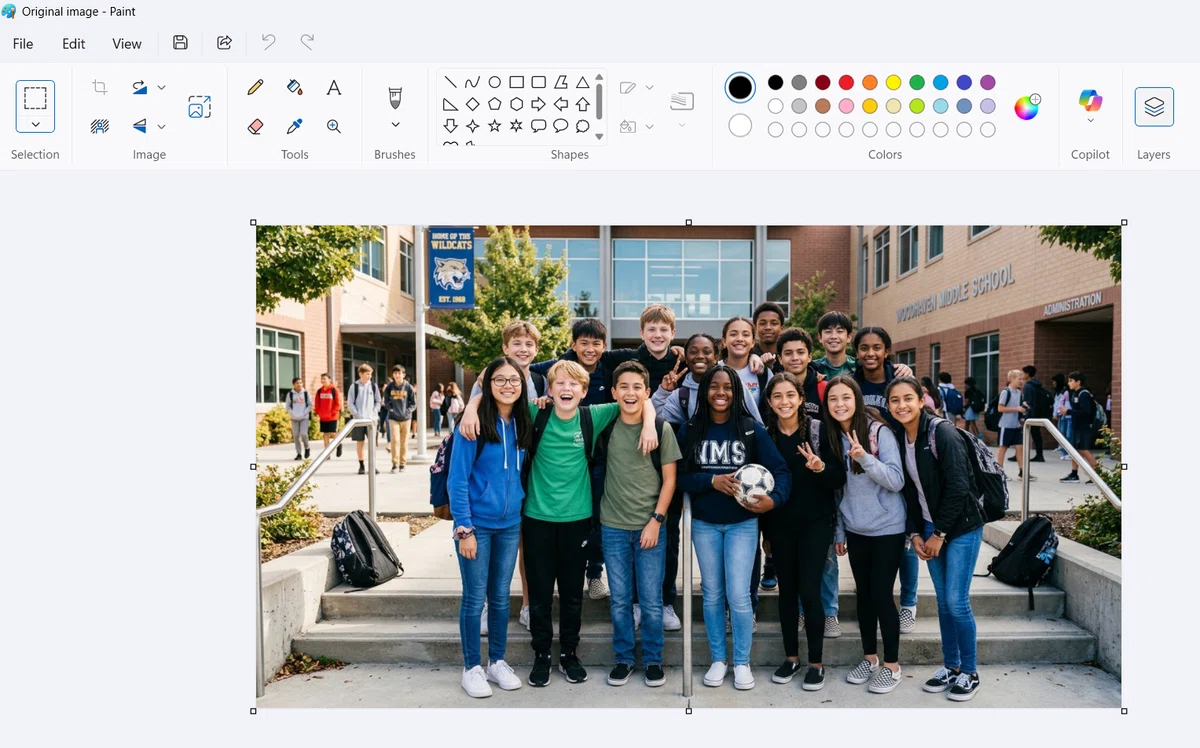 Microsoft Paintで画像を開いた様子