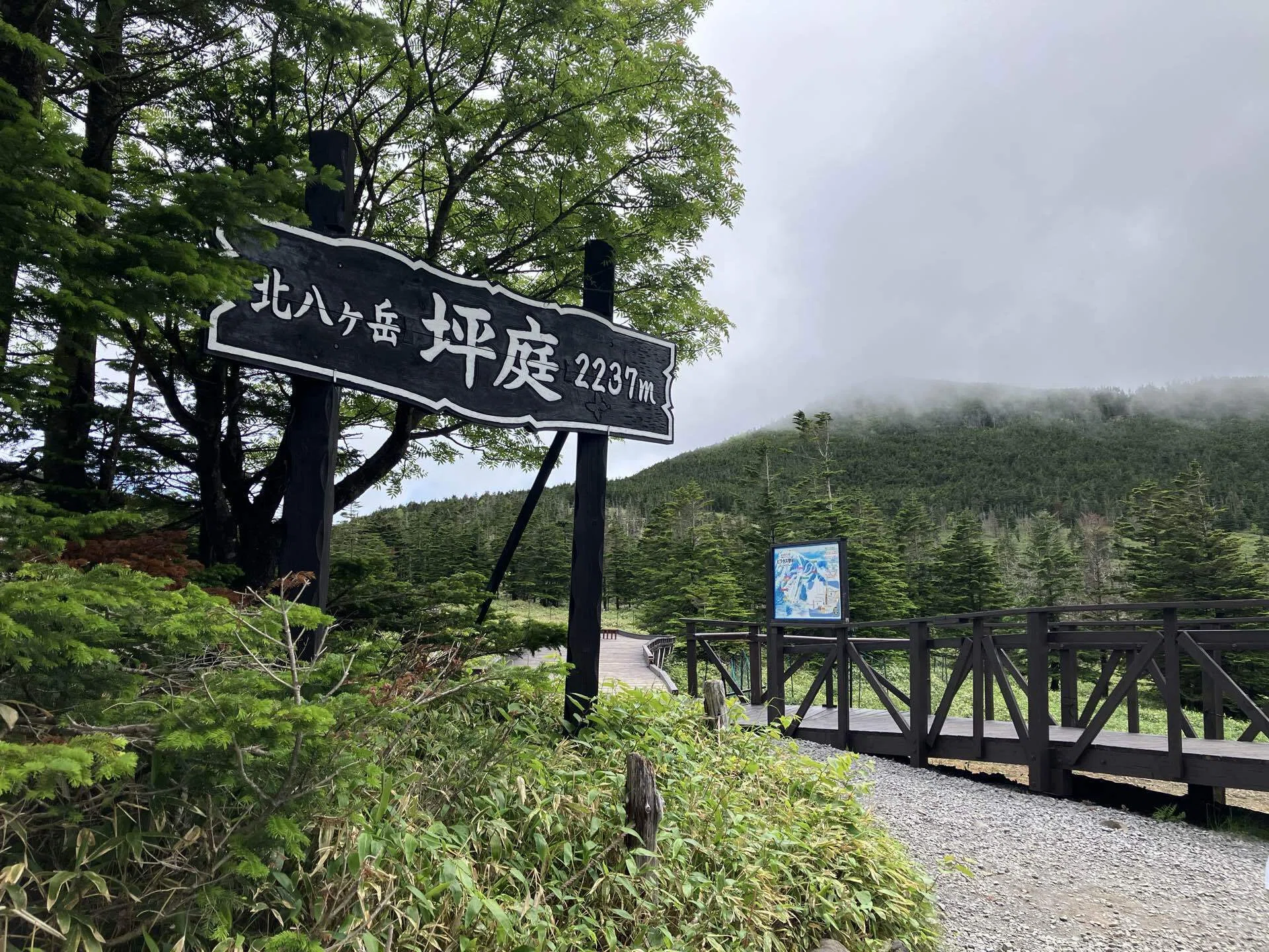 梅雨の晴れ間の北八ヶ岳】高見石小屋と本沢温泉に泊まってきた｜ゆみ吉