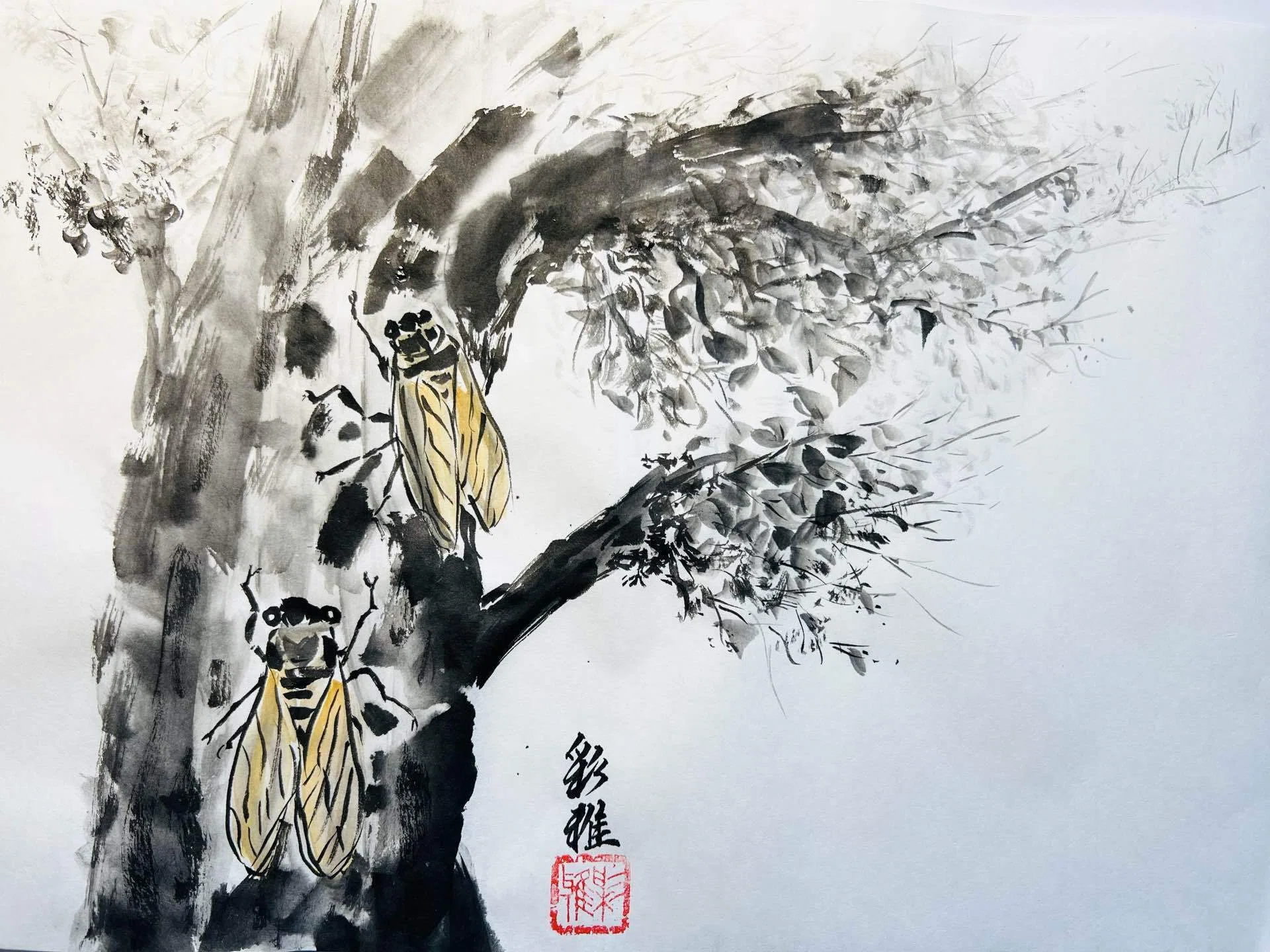 水墨画 蝉｜madokasora11